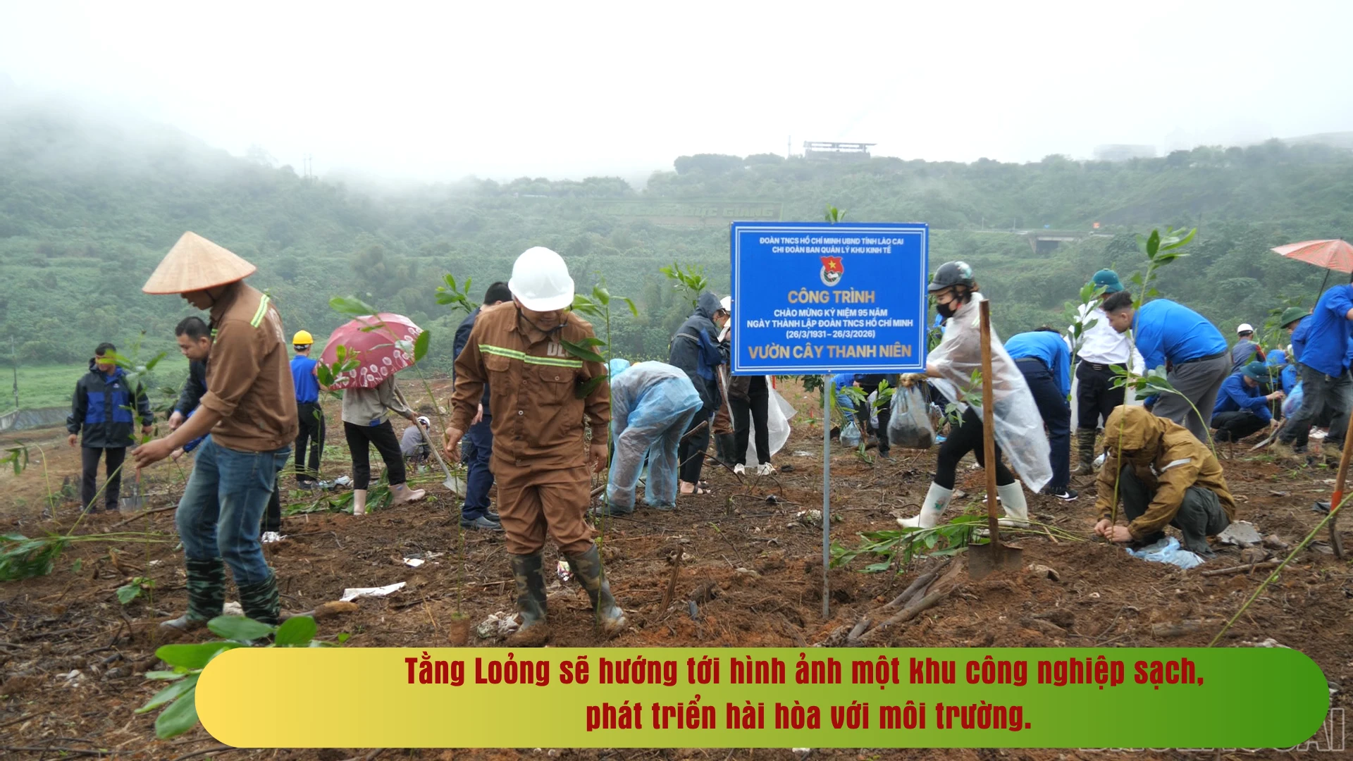 ban-sao-cua-dang-bo-phuong-cau-thia.png