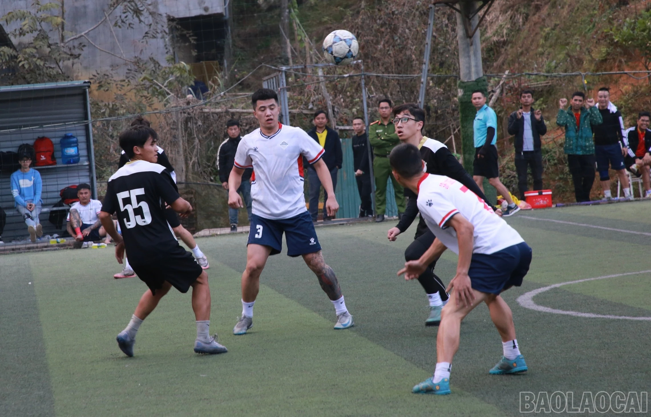 baolaocai-br_img-5424.jpg