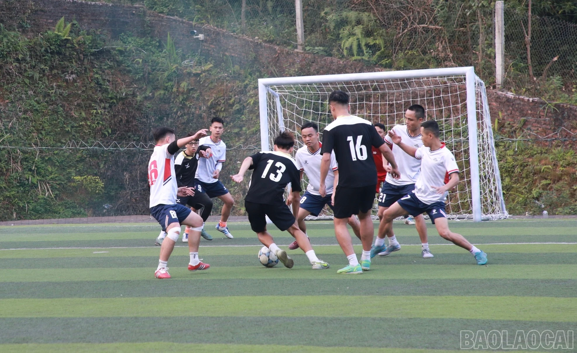 baolaocai-br_img-5421.jpg