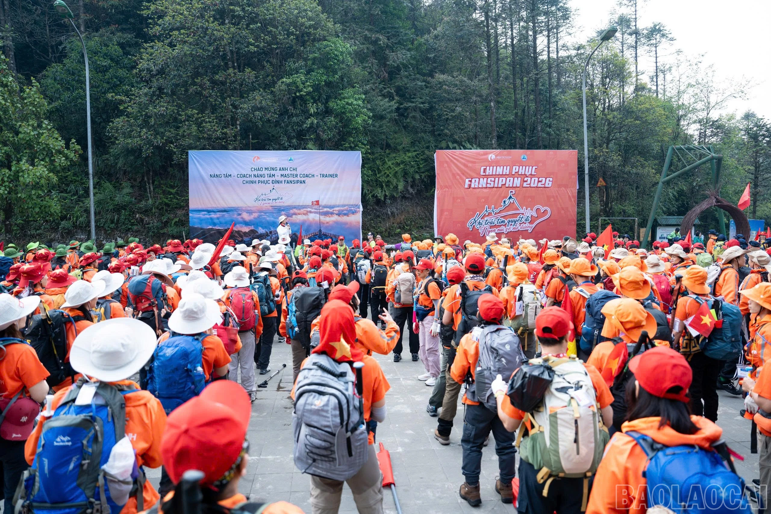baolaocai-br_4323498963937585236.jpg