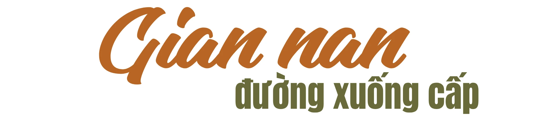 14.png