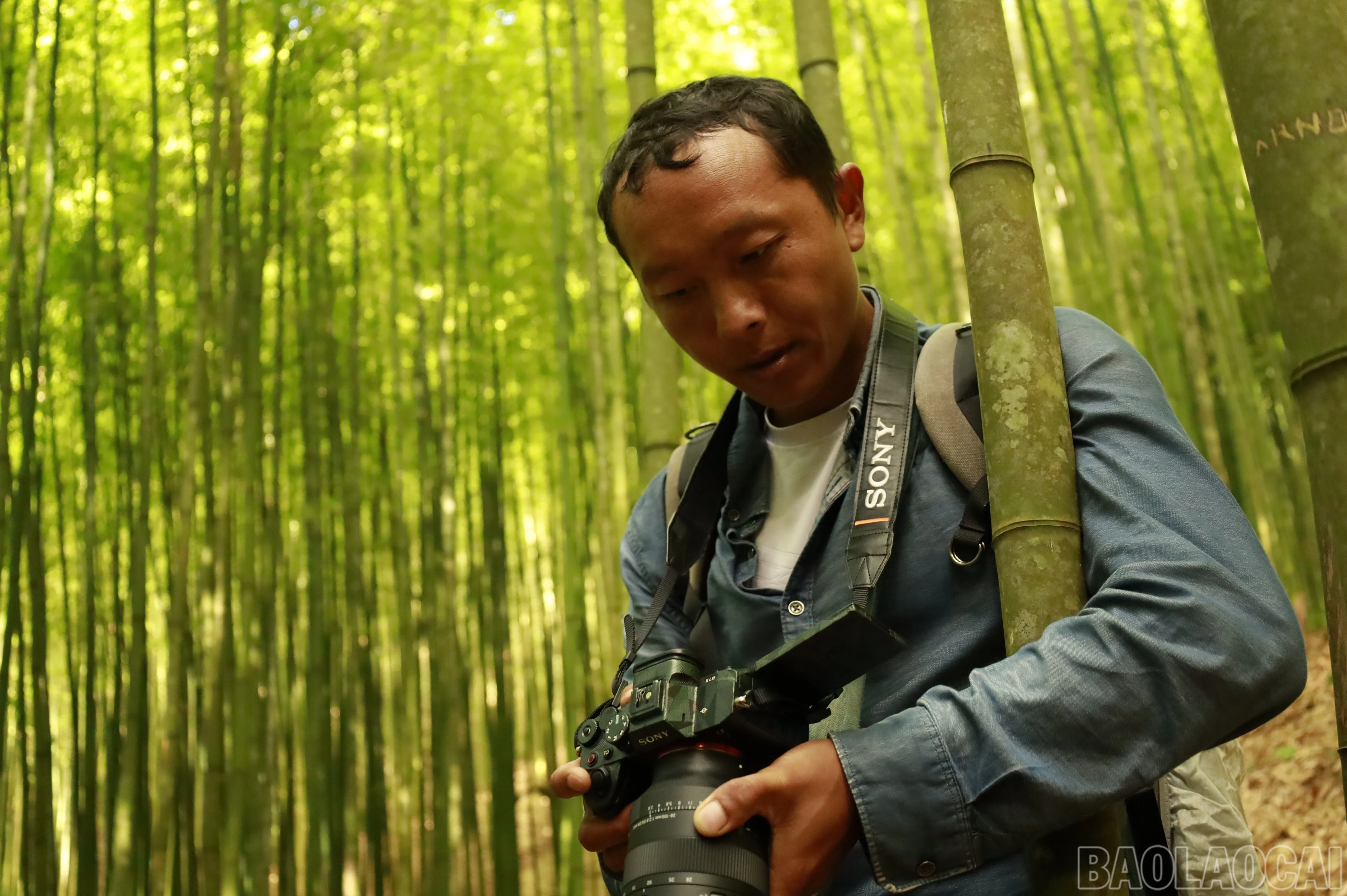 baolaocai-br_mg-8469.jpg