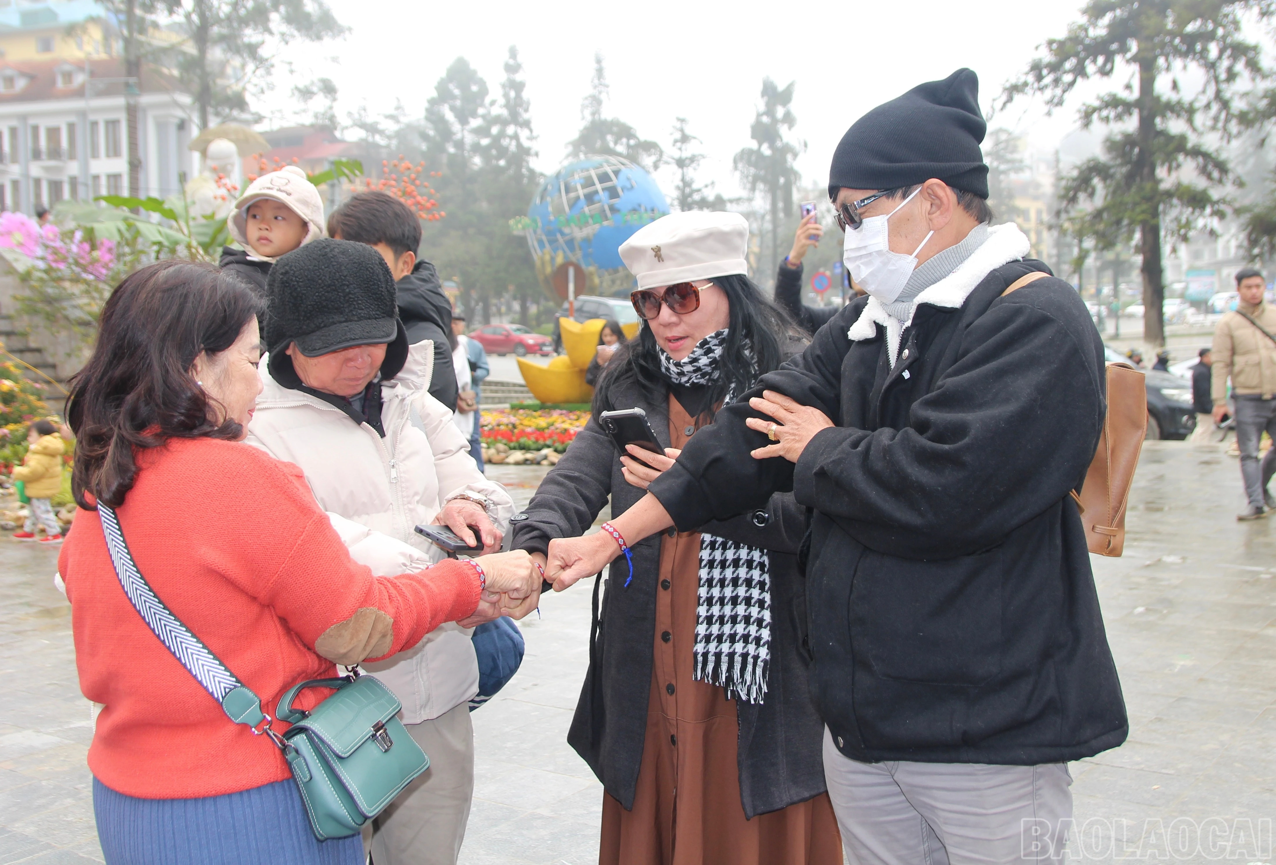 baolaocai-br_img-8709.jpg