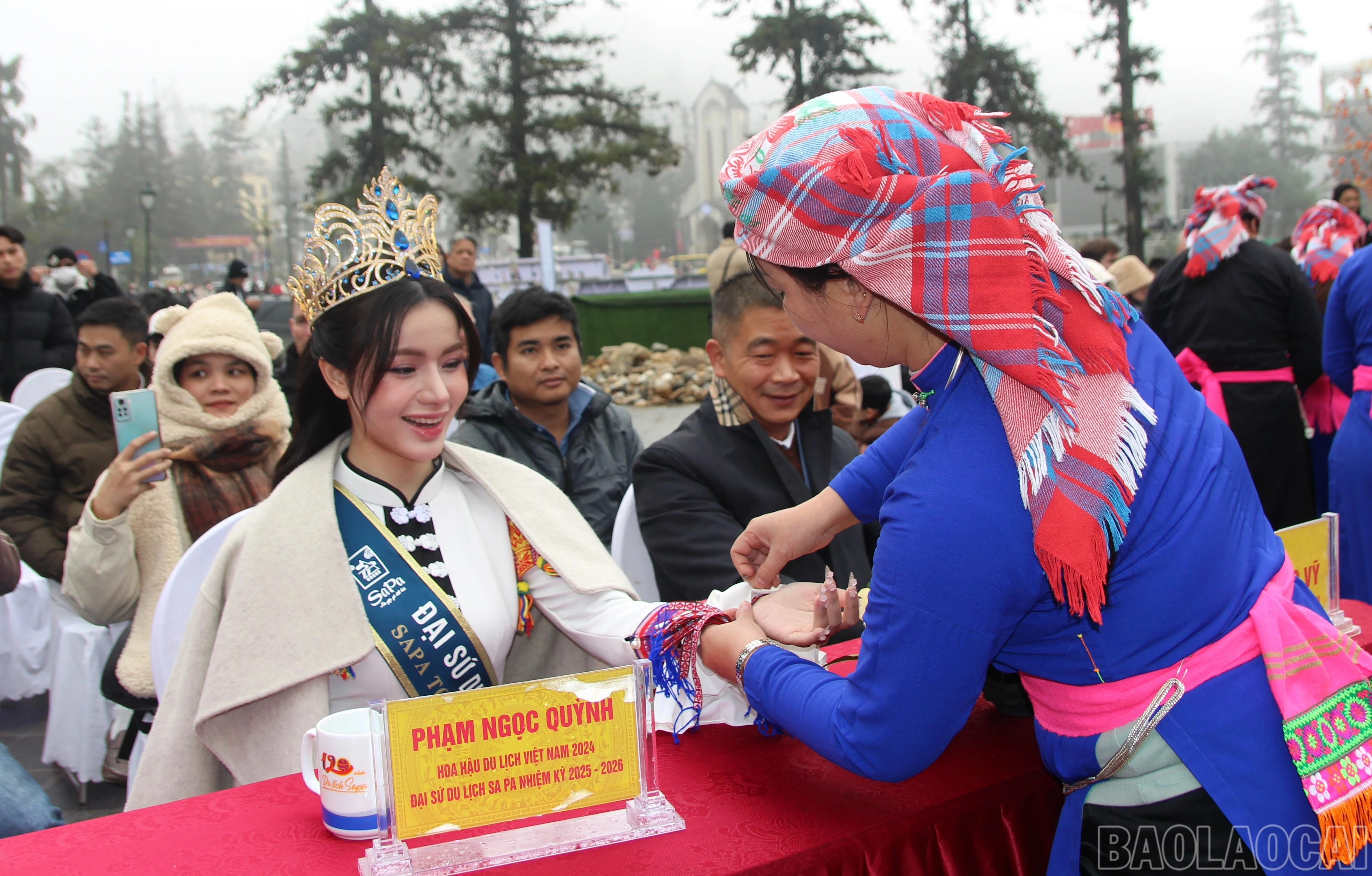 baolaocai-br_img-8699.jpg