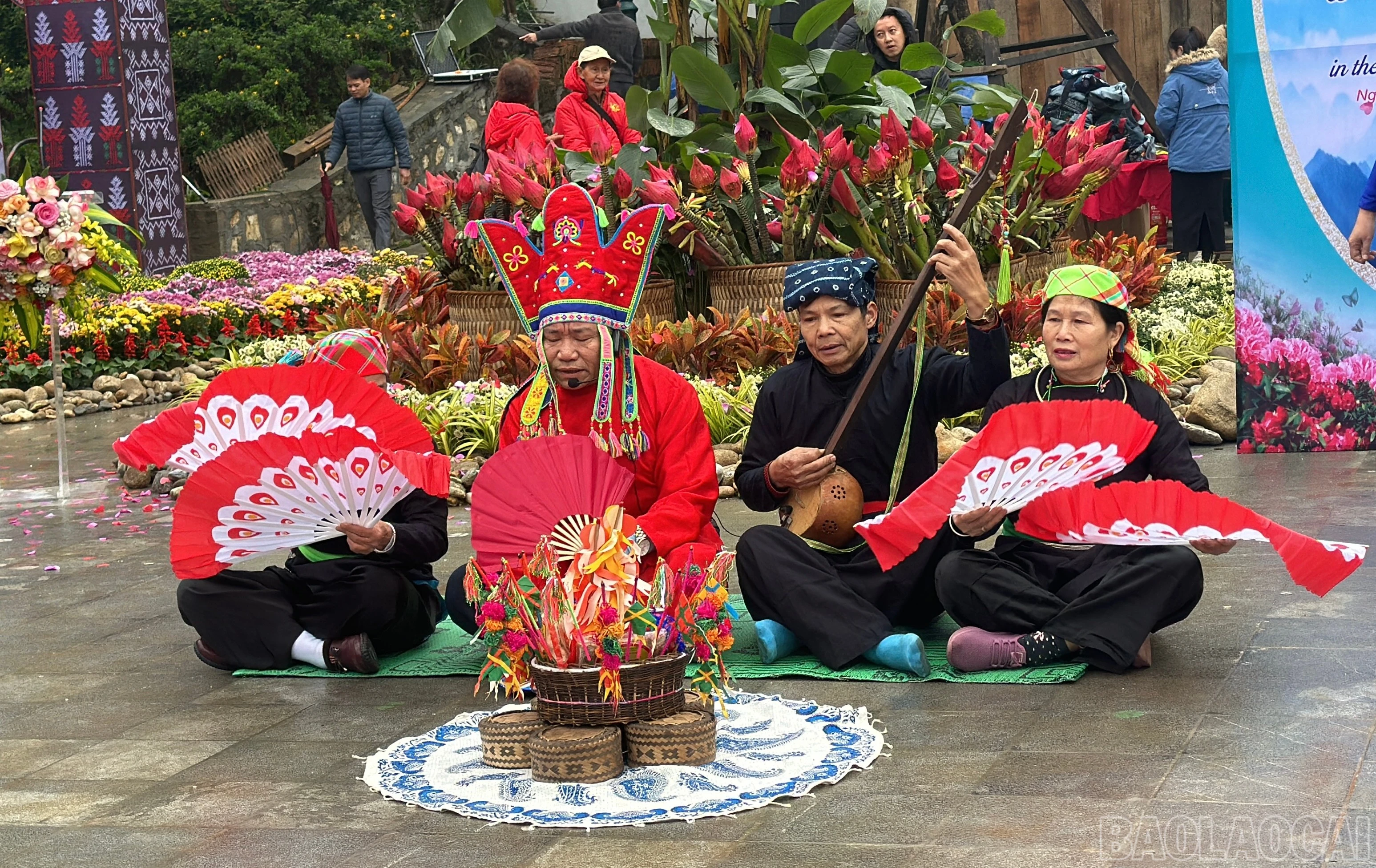 baolaocai-br_img-9323.jpg
