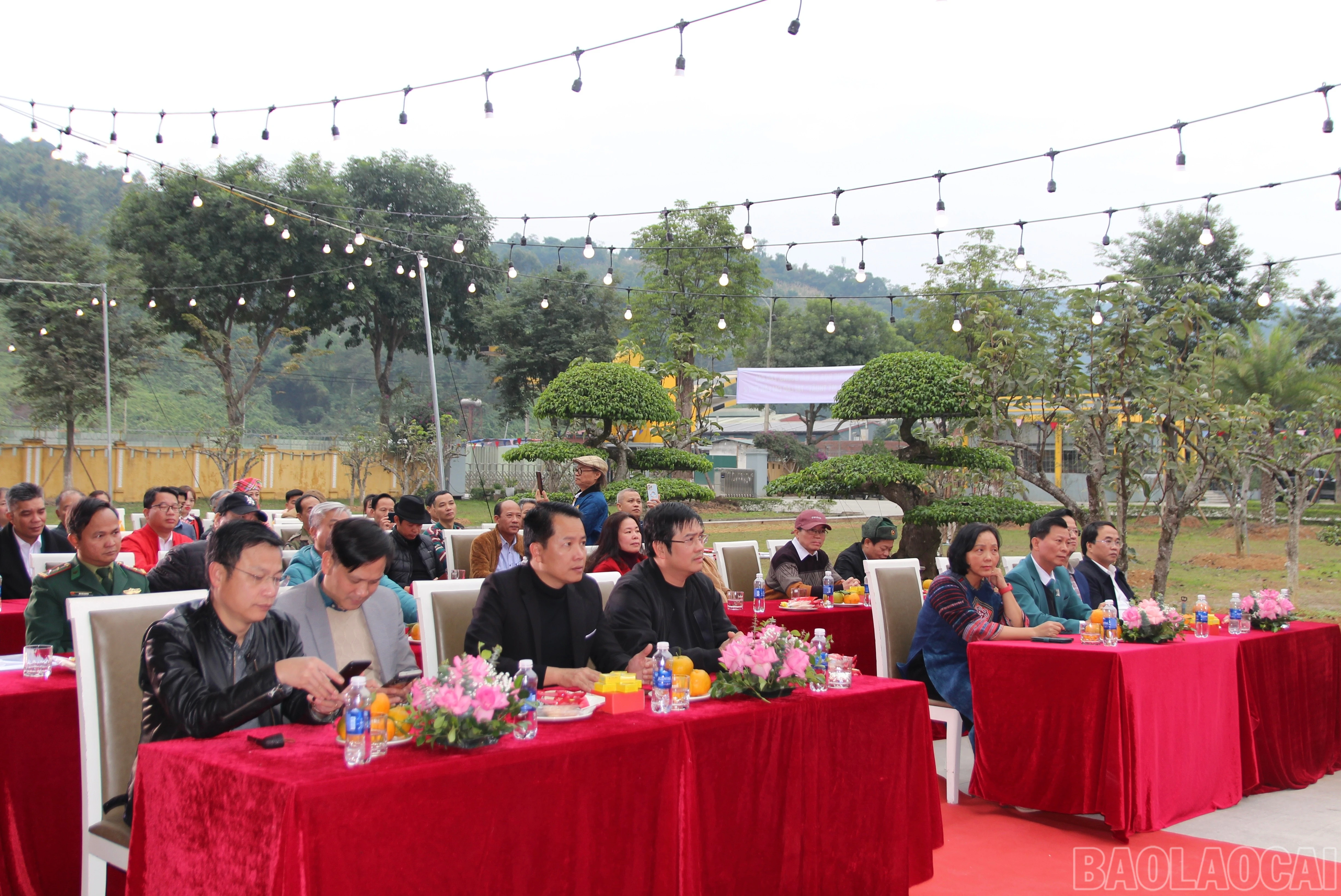 baolaocai-br_img-8193.jpg