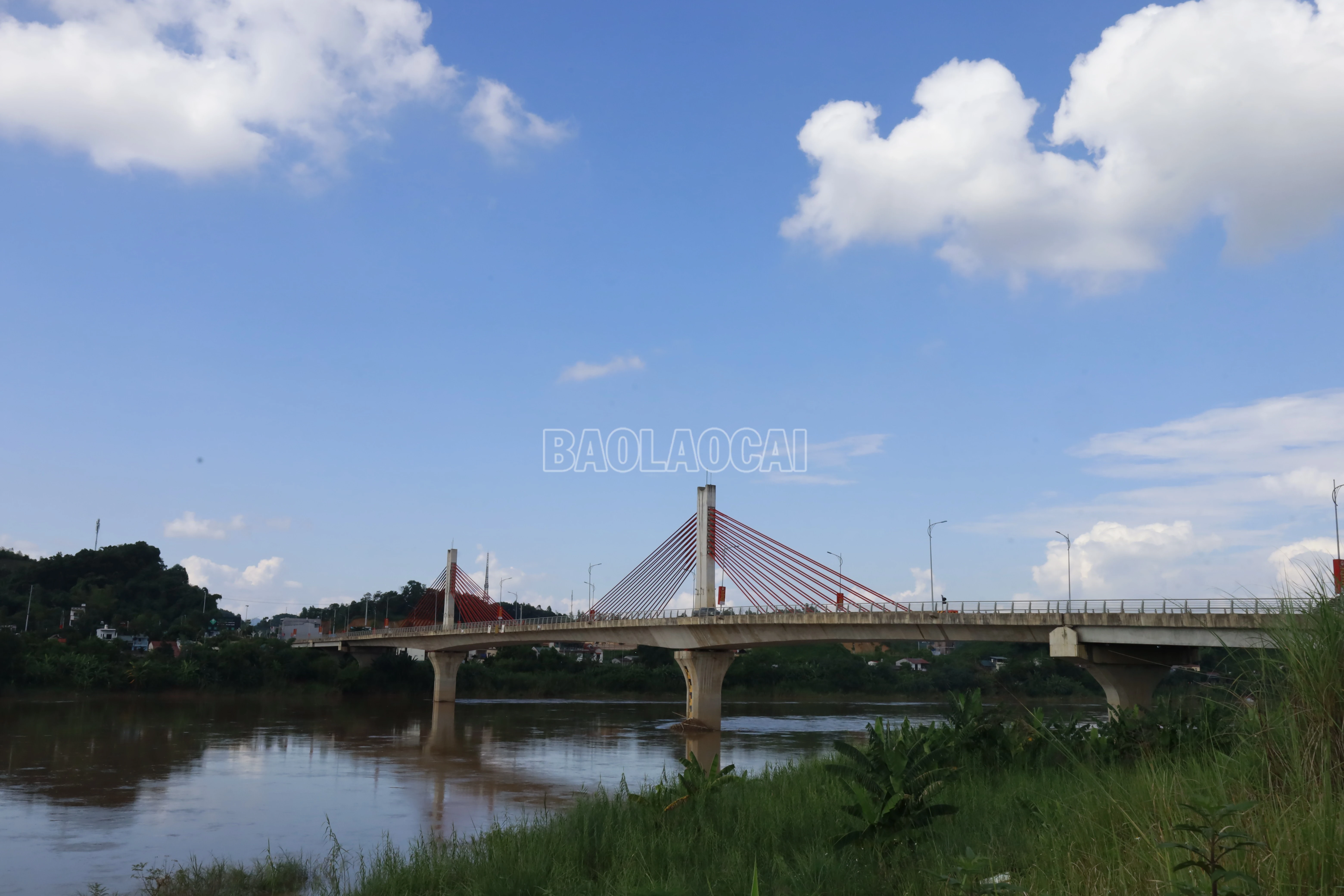baolaocai-c_21-bach-lam.jpg