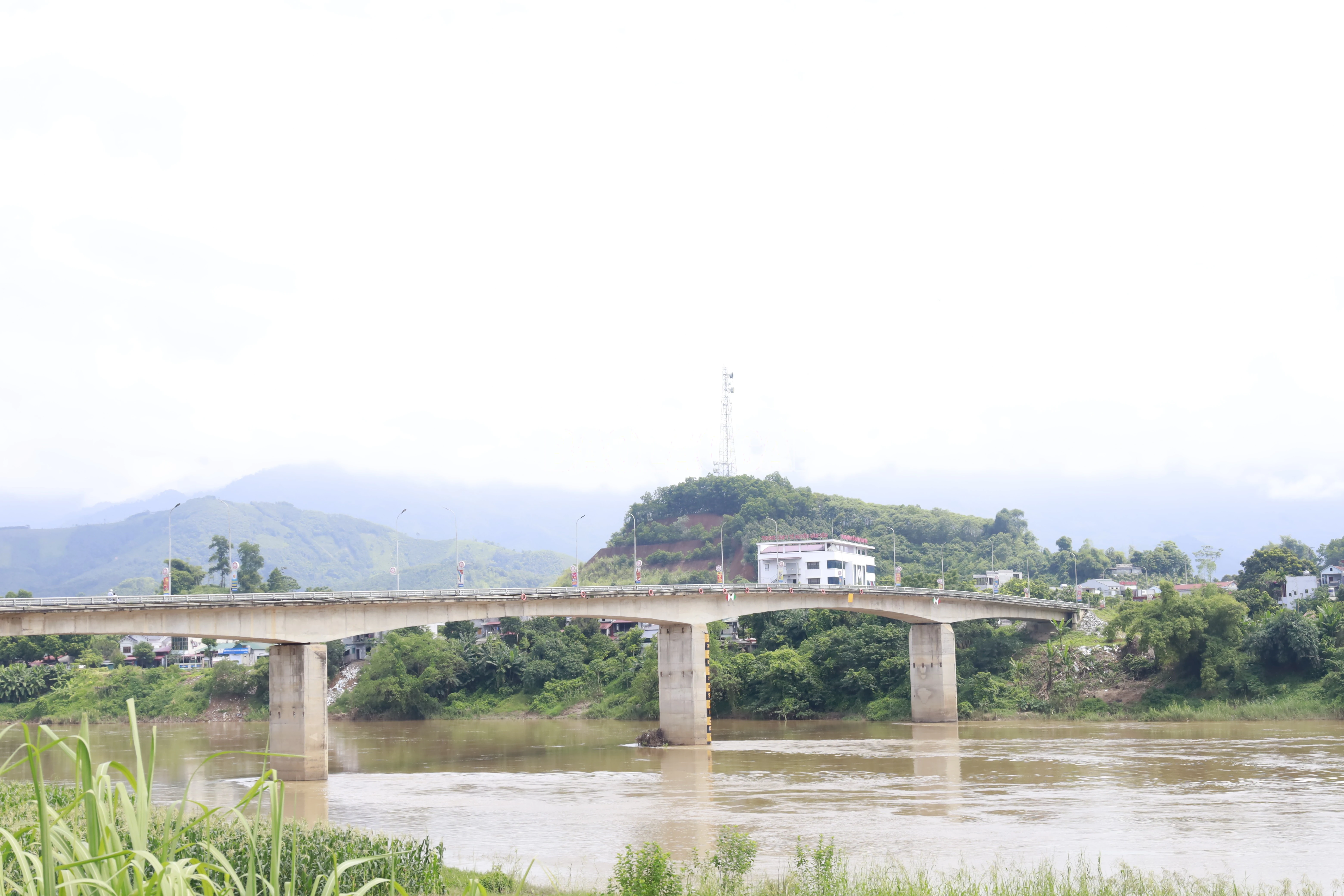 baolaocai-c_24-cau-mau-a.jpg