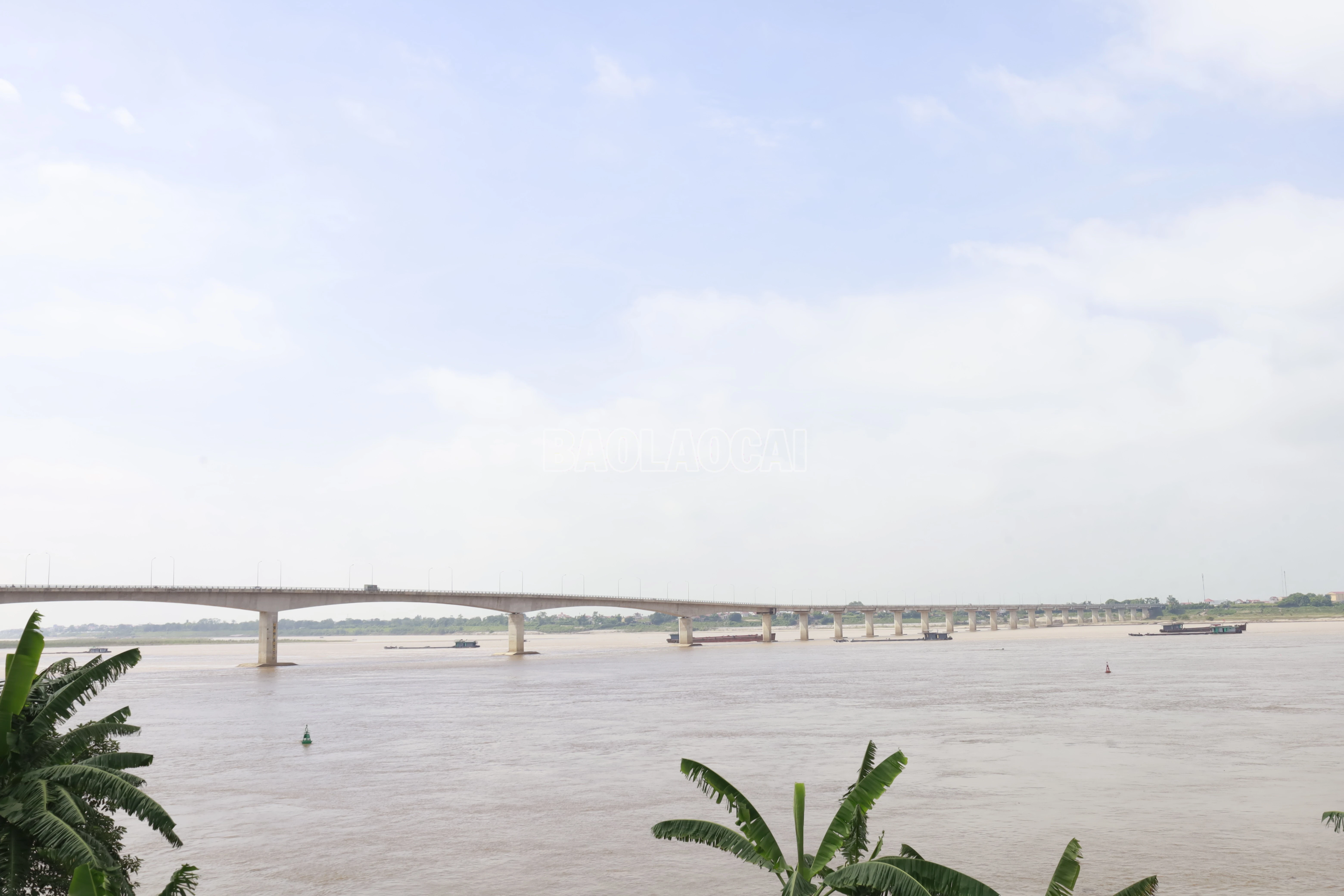 baolaocai-c_13-van-lang.jpg