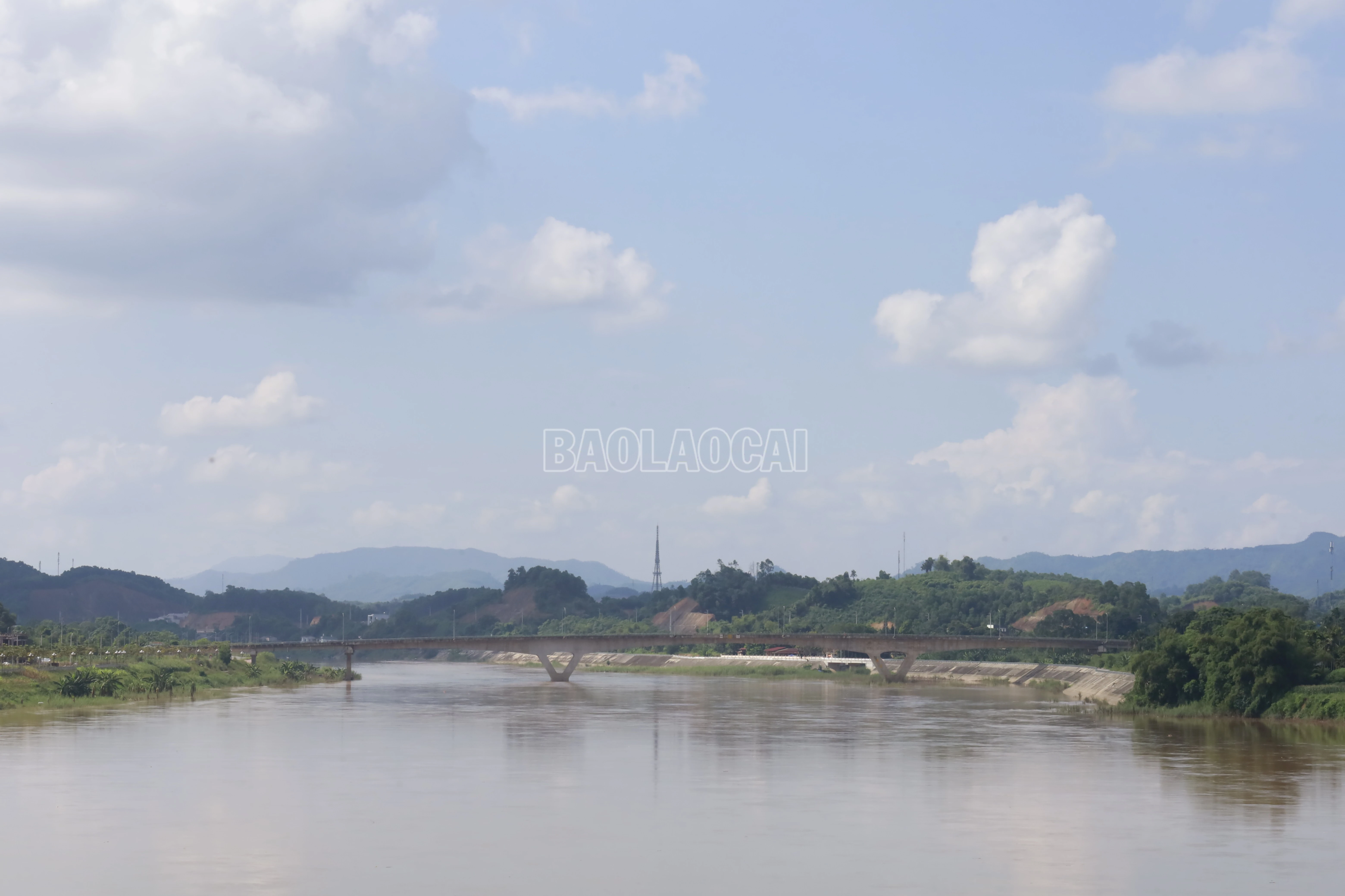 baolaocai-c_19-tuan-quan.jpg