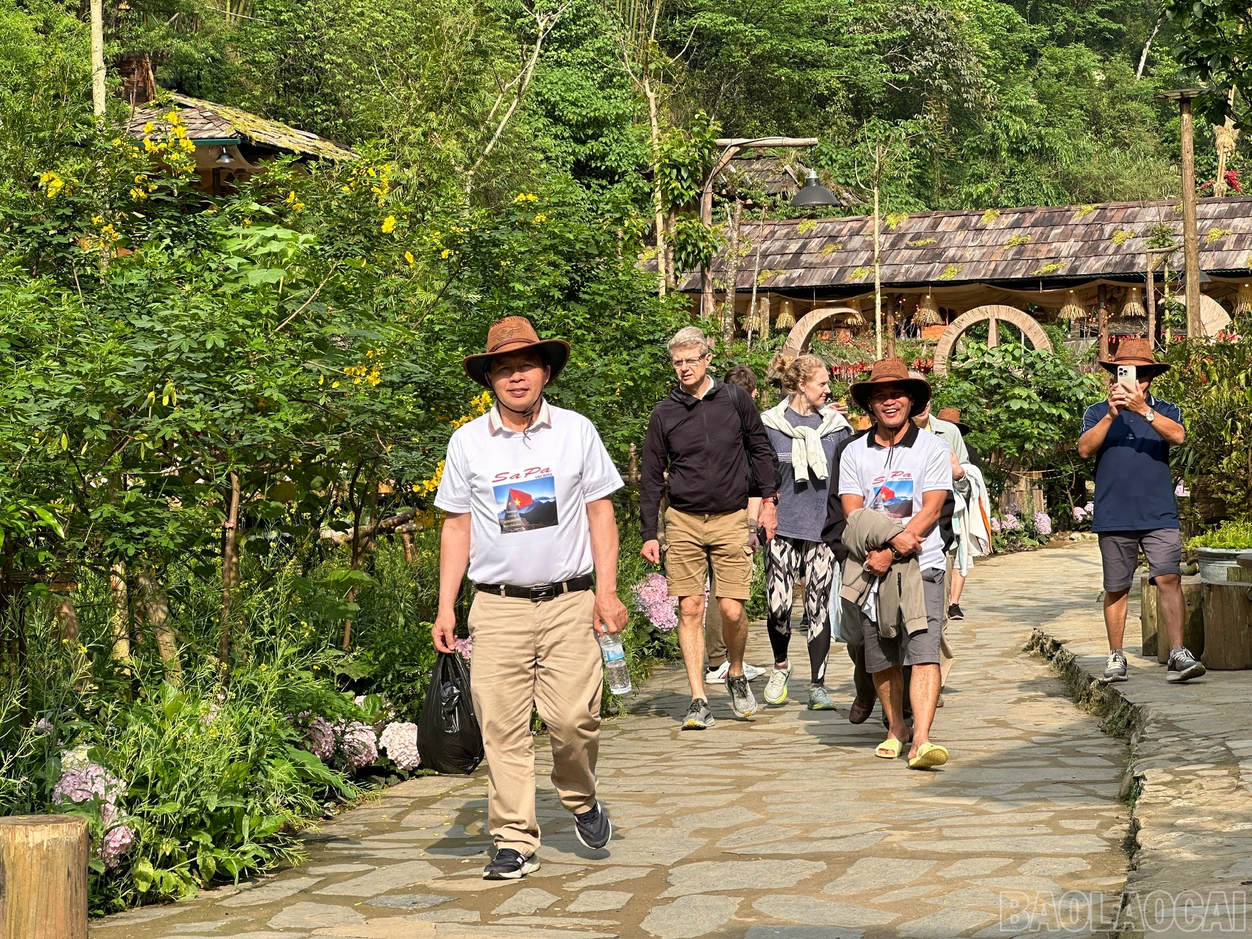 baolaocai-br_f1c7fe610779b527ec68.jpg