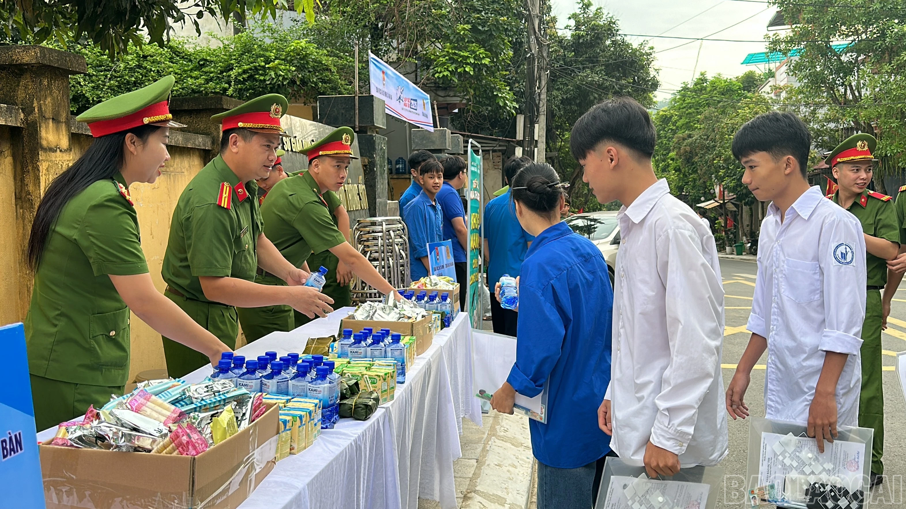 baolaocai-br_4.jpg