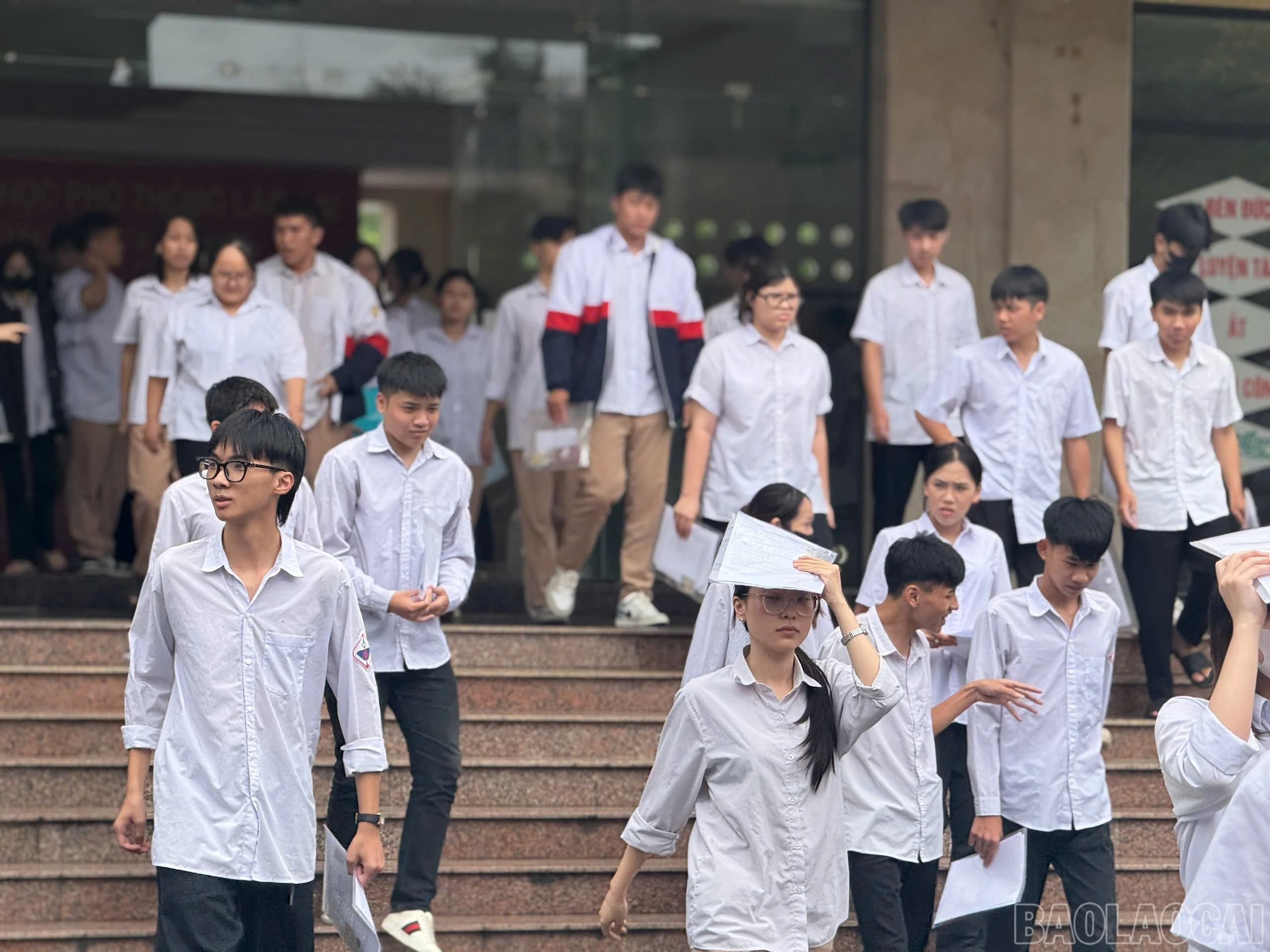 baolaocai-br_d1-2554.jpg