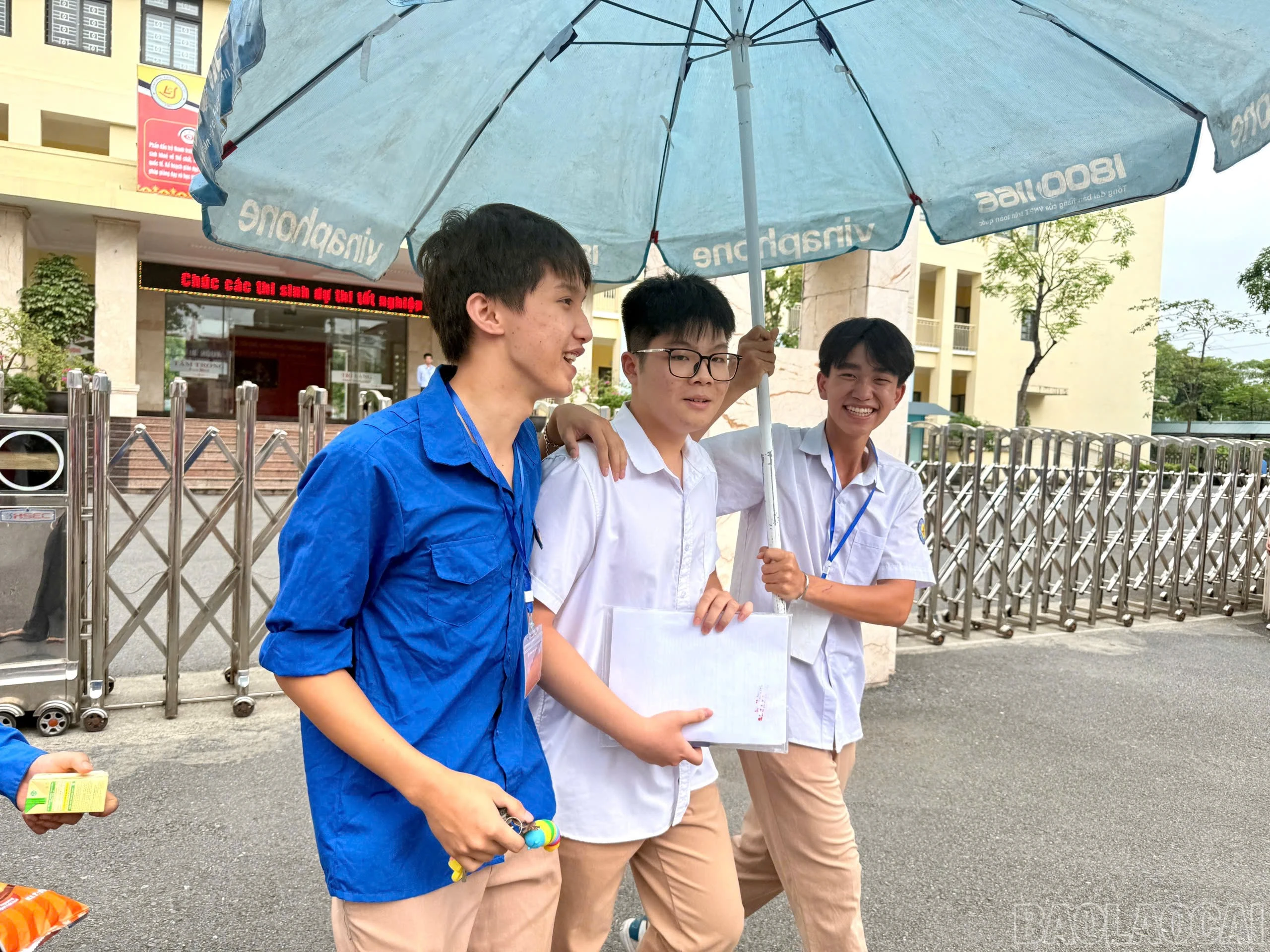 baolaocai-br_d2-9747.jpg
