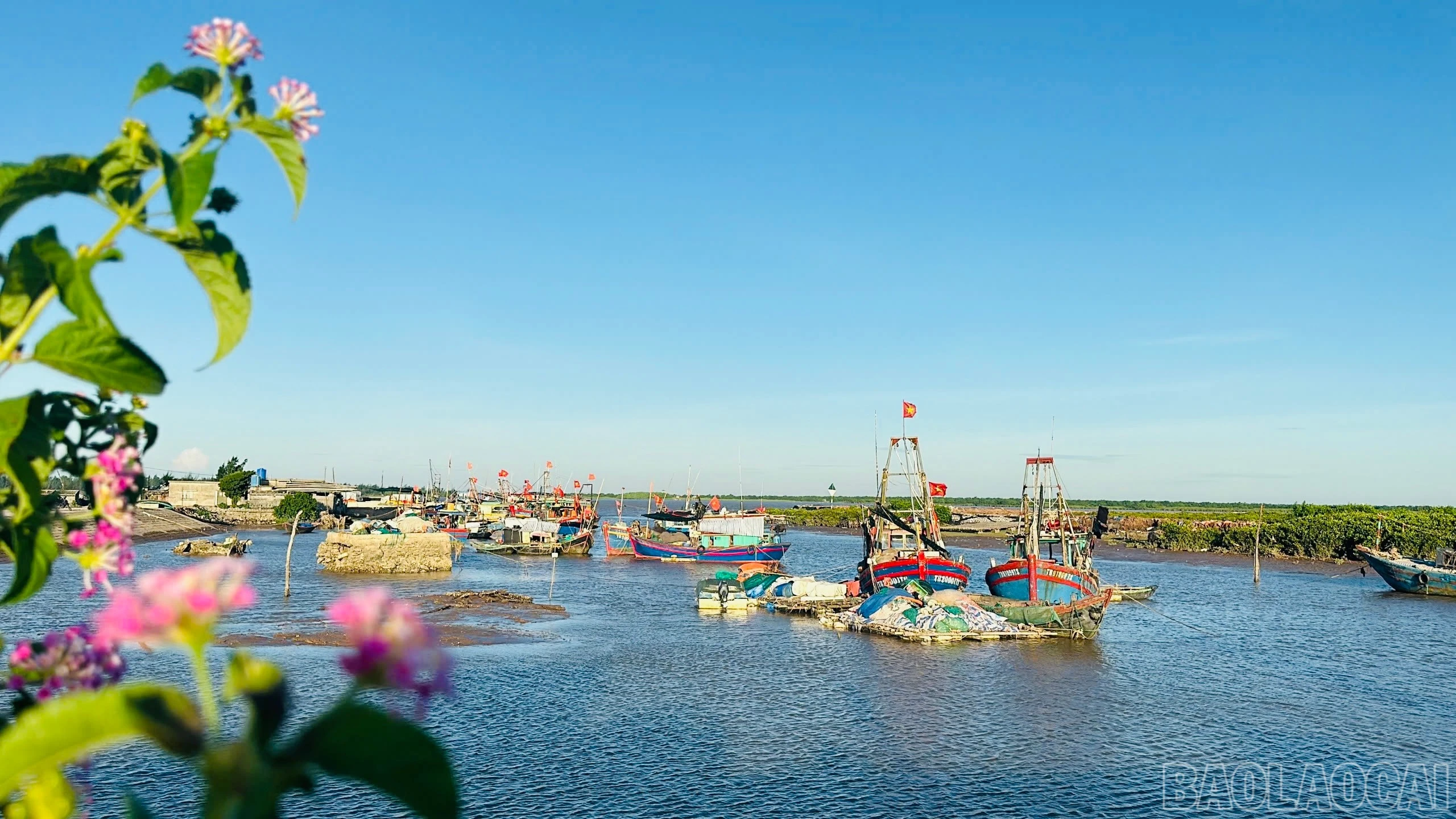 baolaocai-br_img-4483.jpg