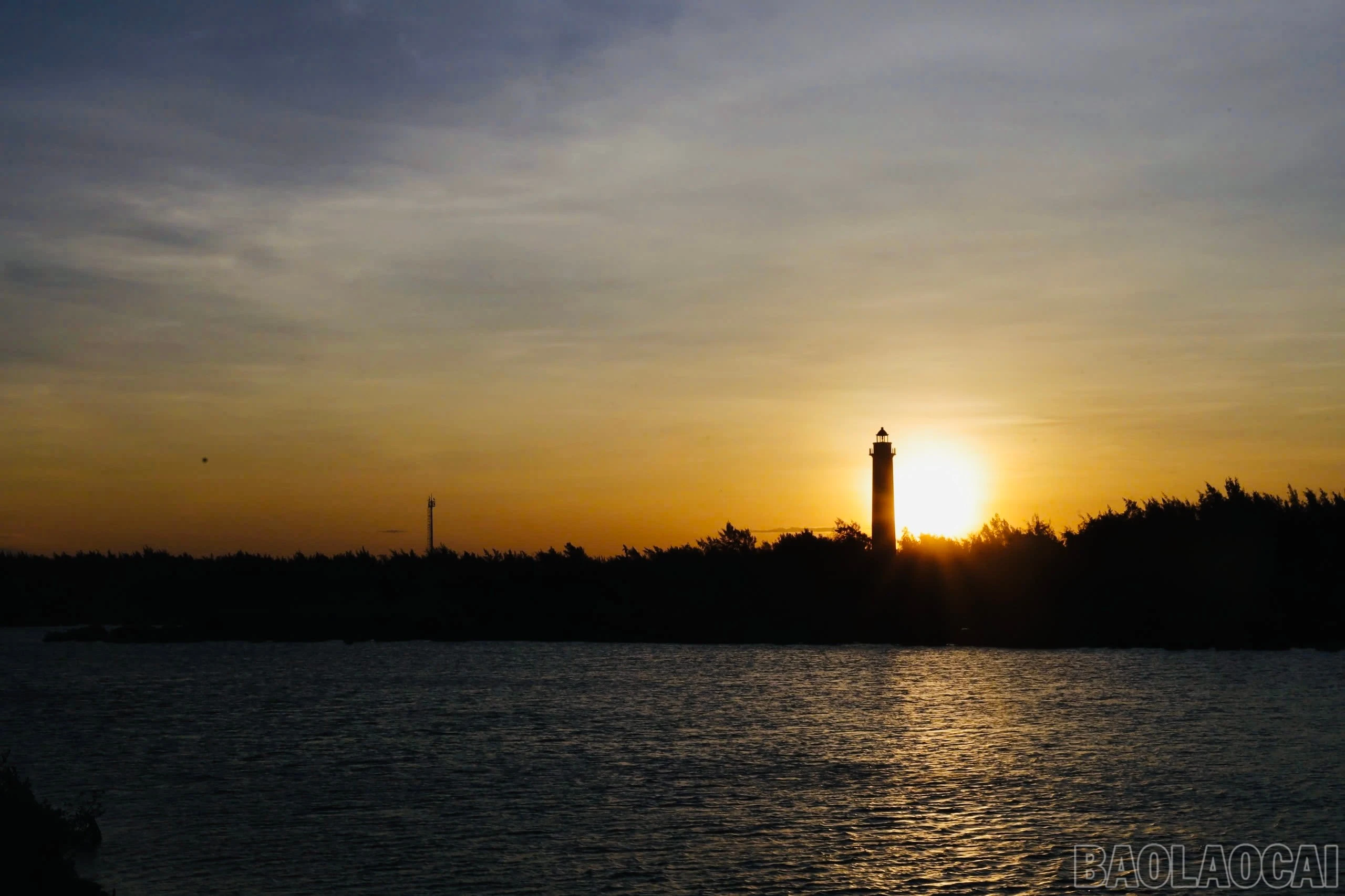 baolaocai-br_img-4490.jpg