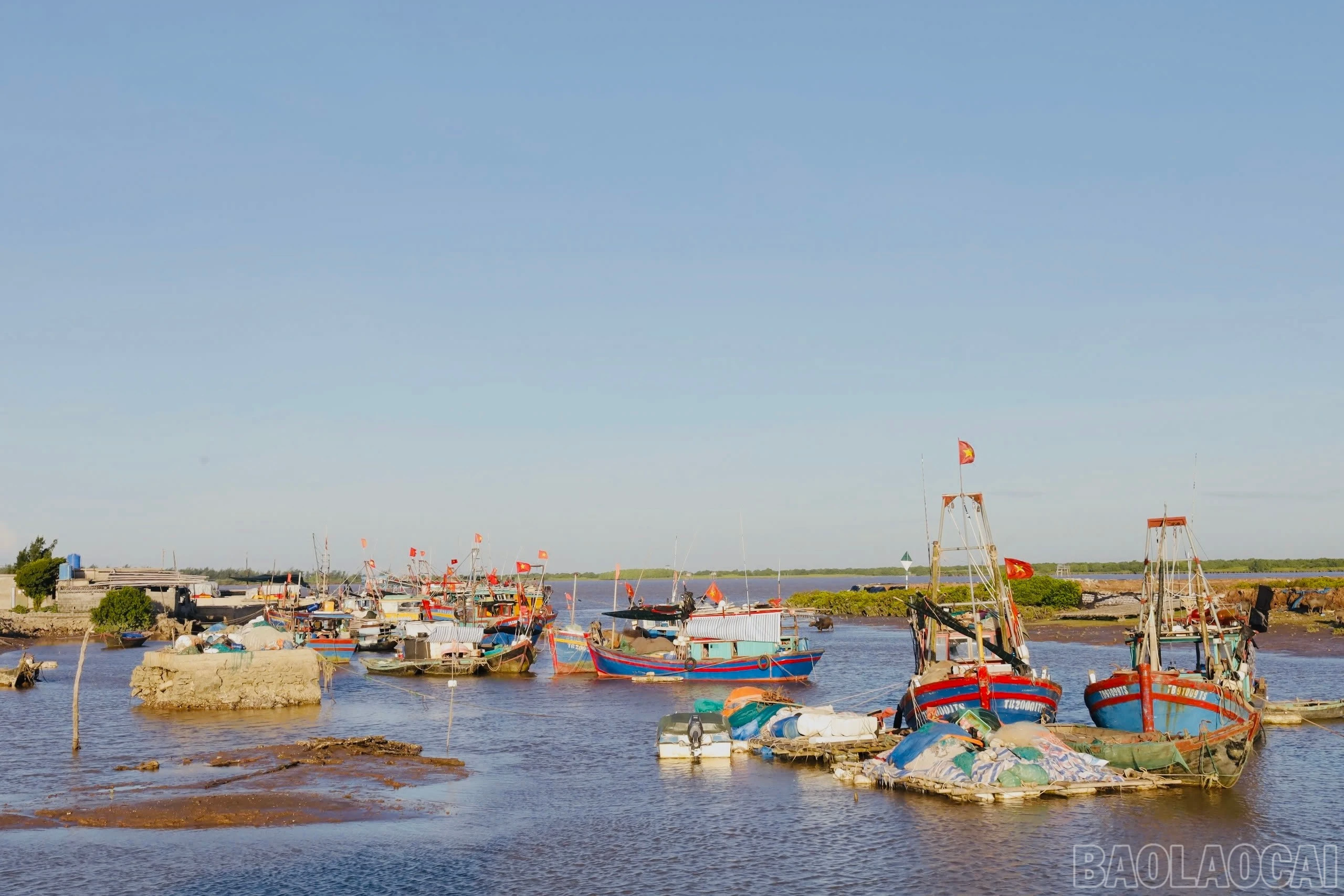 baolaocai-br_img-4500.jpg