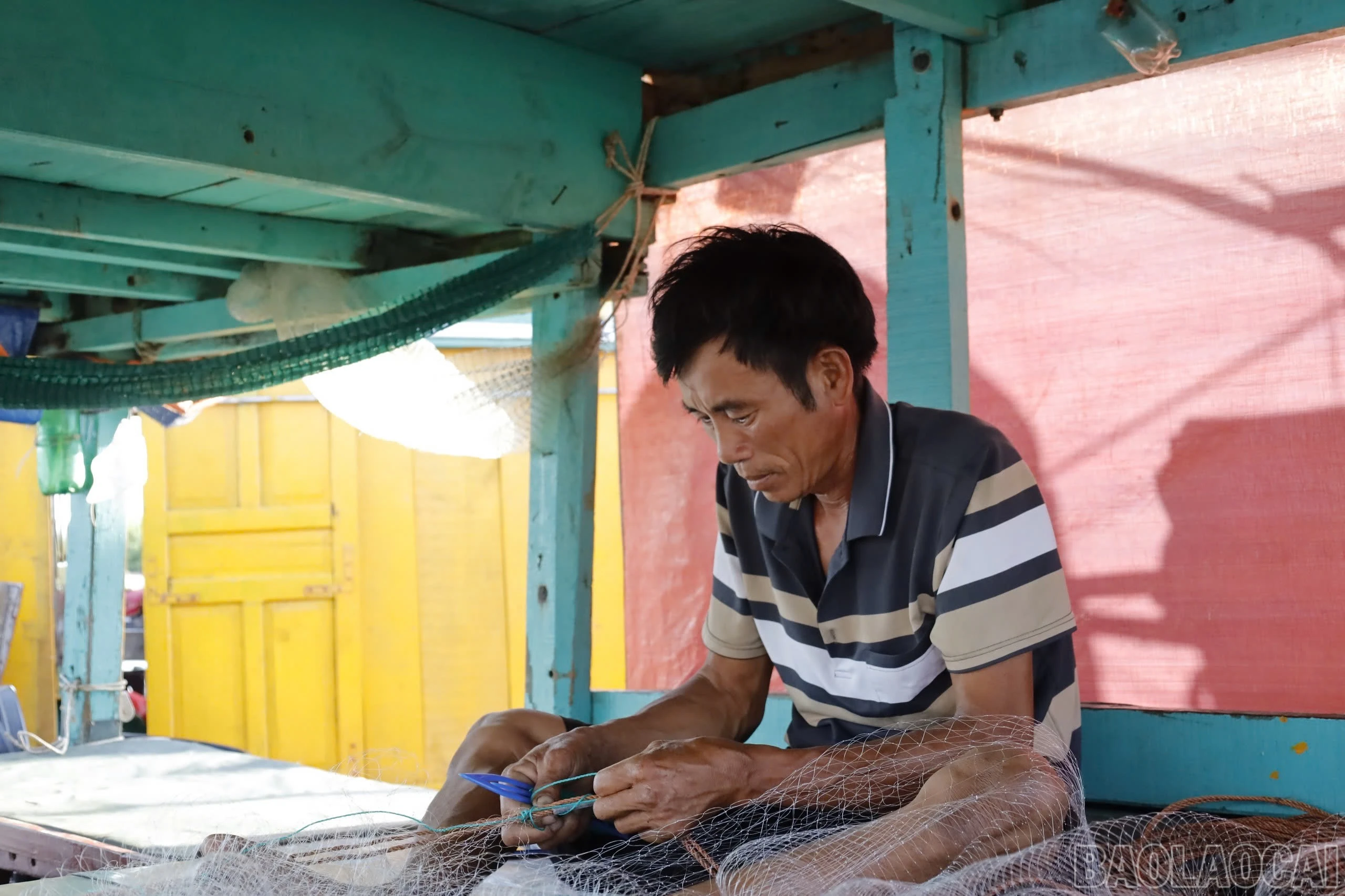 baolaocai-br_img-4488.jpg