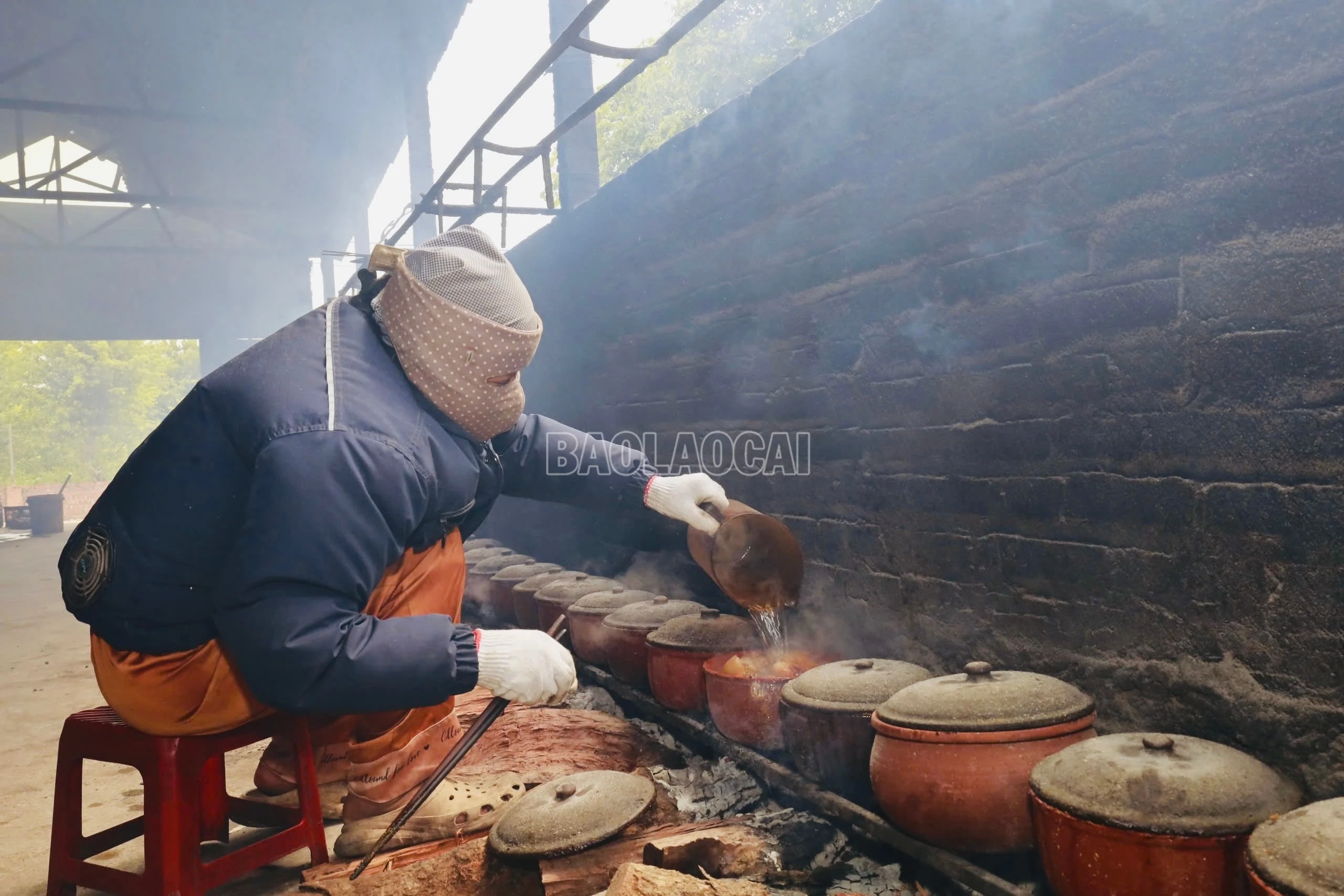 baolaocai-c_img-4515.jpg