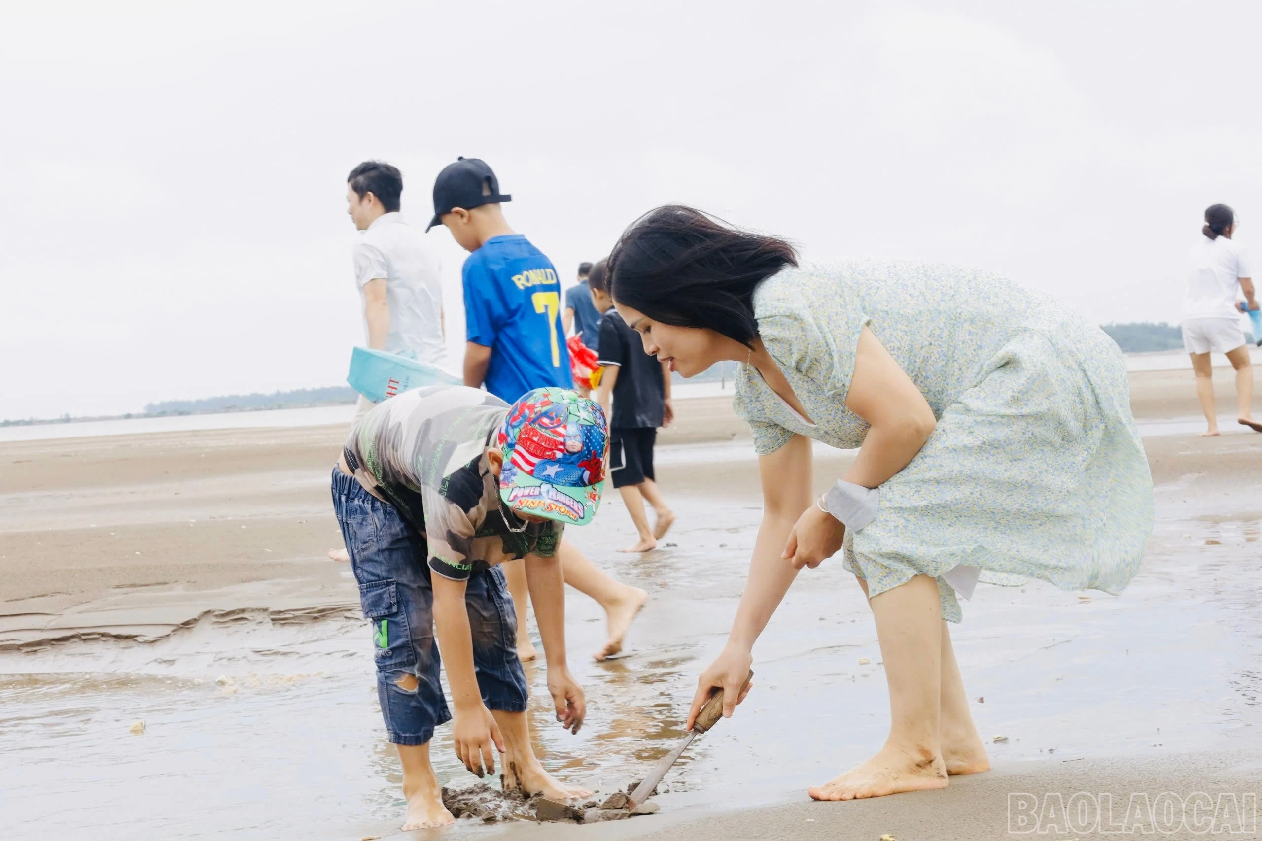 baolaocai-br_img-4497.jpg