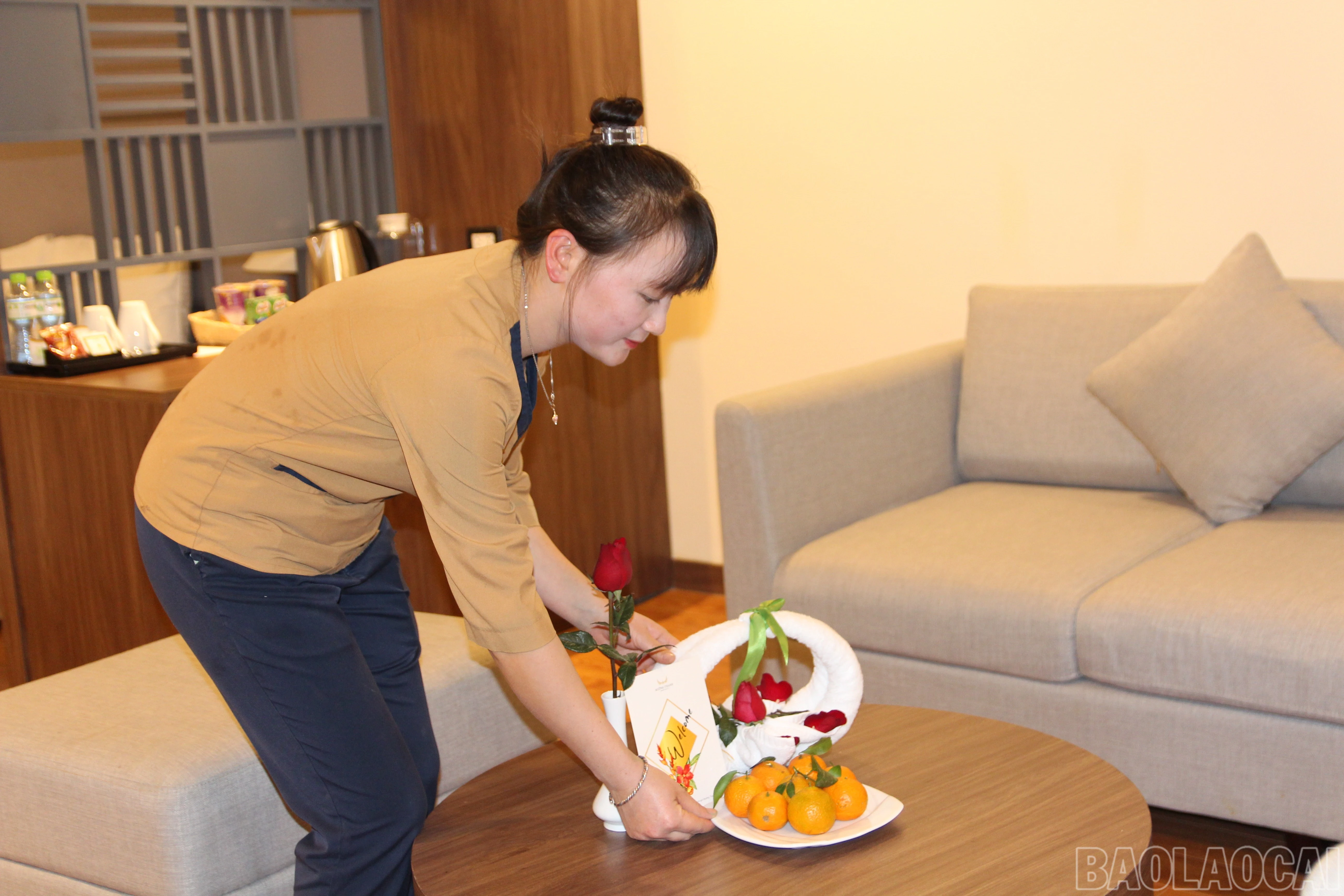 baolaocai-br_img-9179.jpg