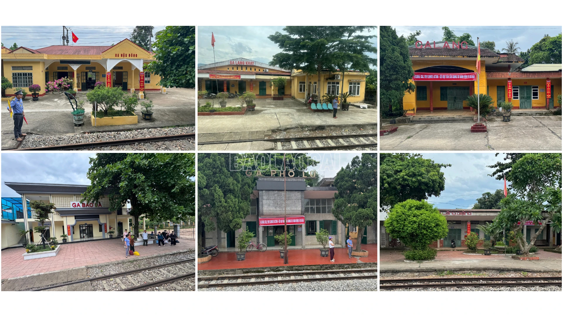 baolaocai-c_thiet-ke-chua-co-ten2.png