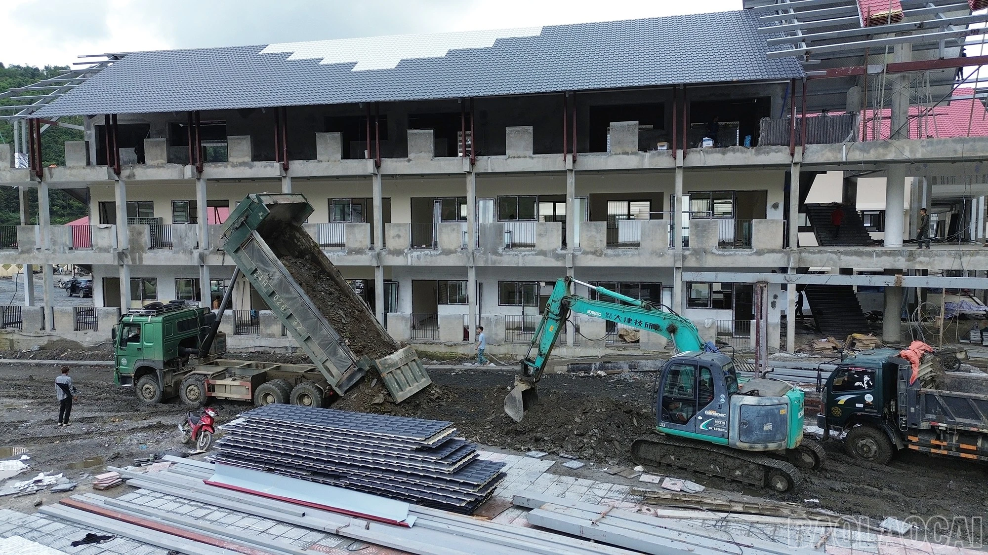 baolaocai-br_dntt-25.jpg