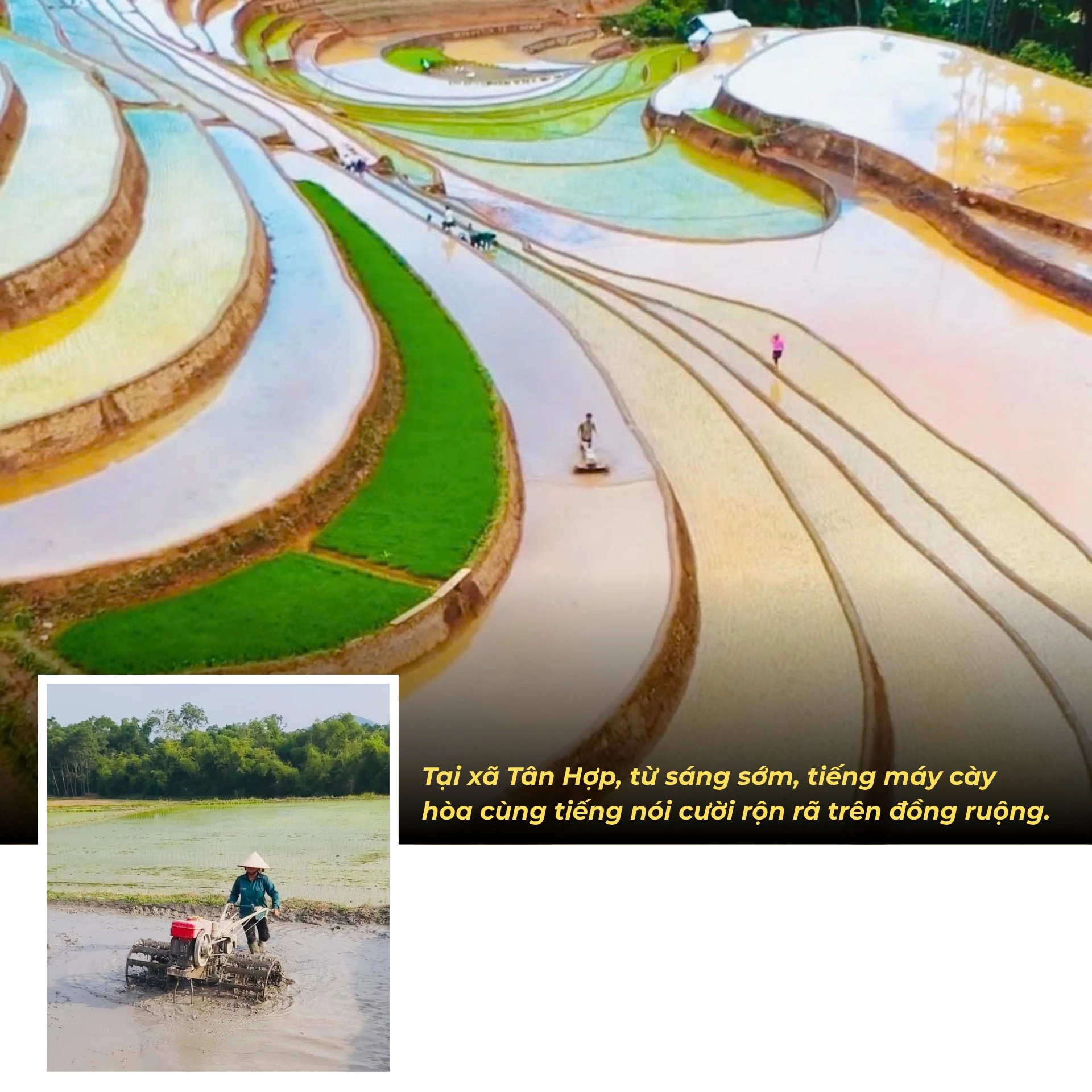 nong-dan-vao-vu-moi3.png