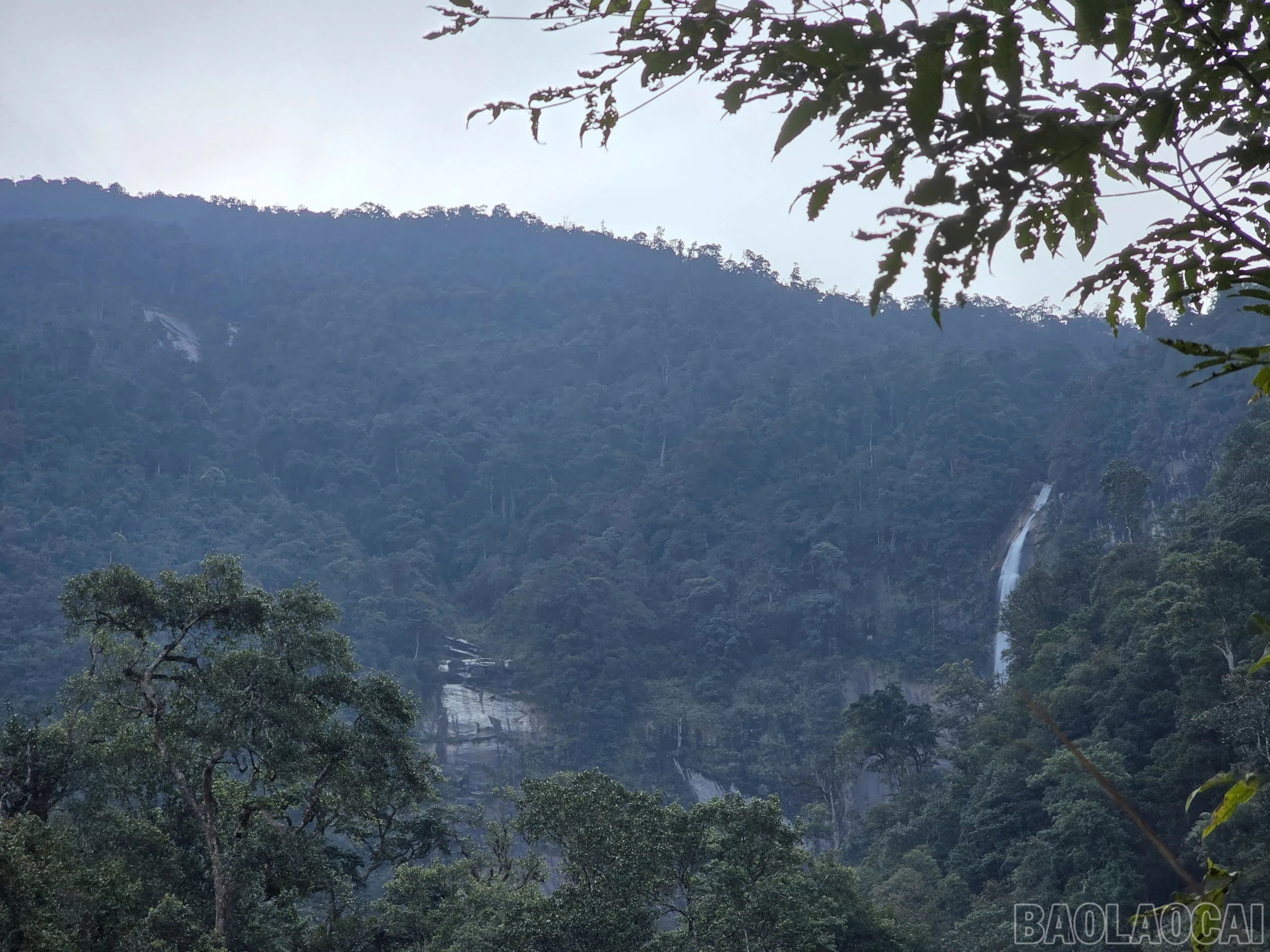 baolaocai-br_2aobor15udac4k8reeip7kaqn95eoqs2ns9dd5ys.jpg