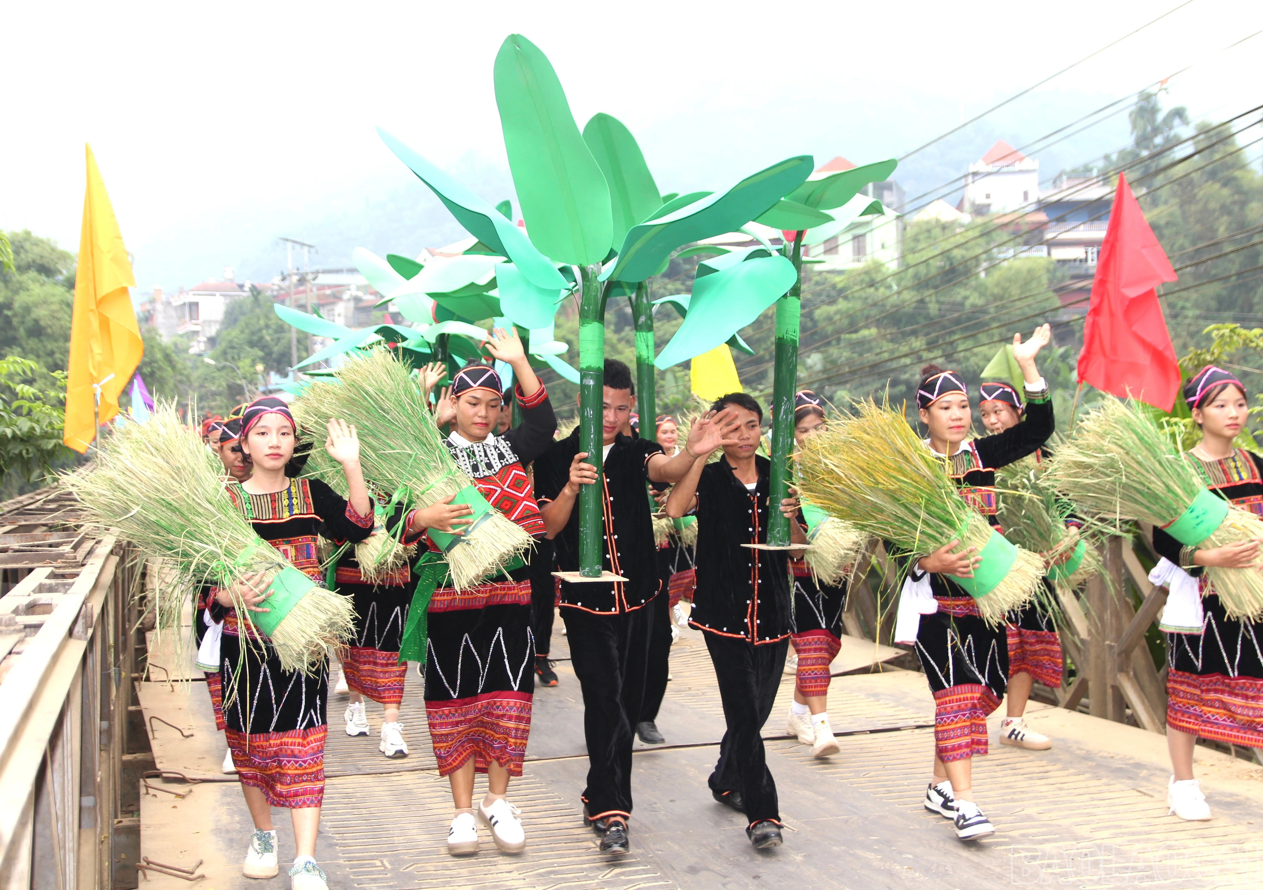 img-3890-660.jpeg
