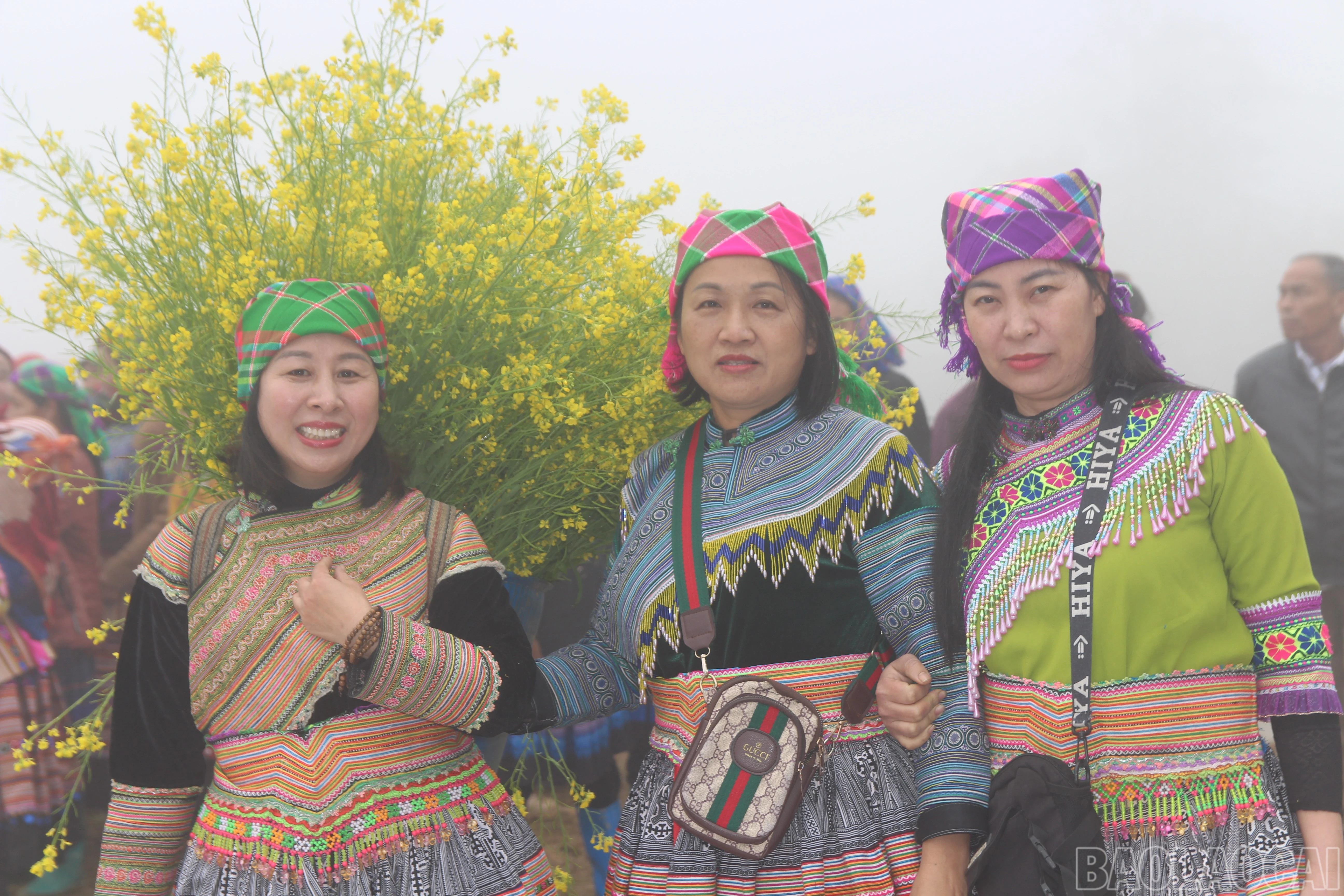 baolaocai-br_img-9574.jpg