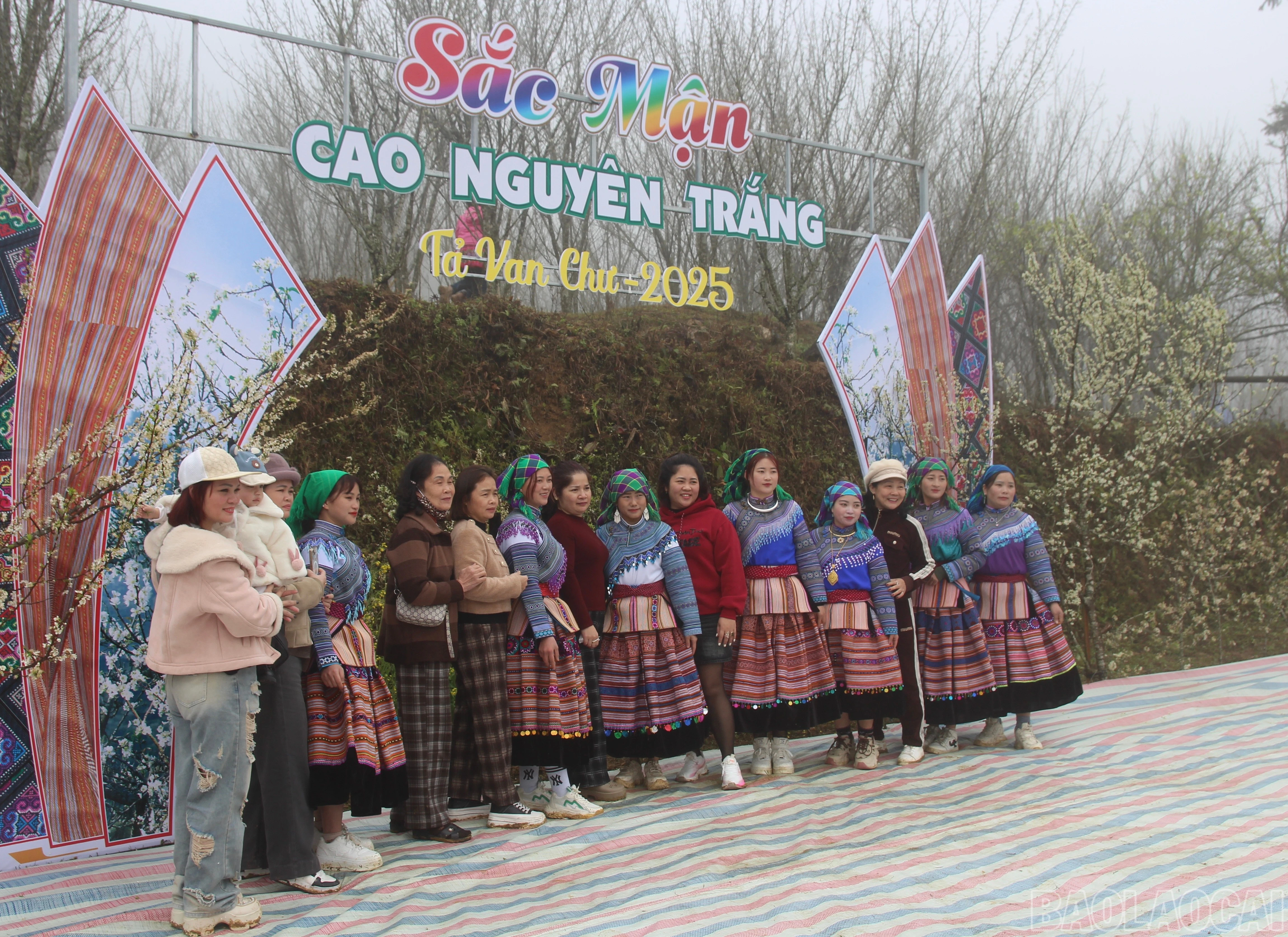 baolaocai-br_img-9576.jpg