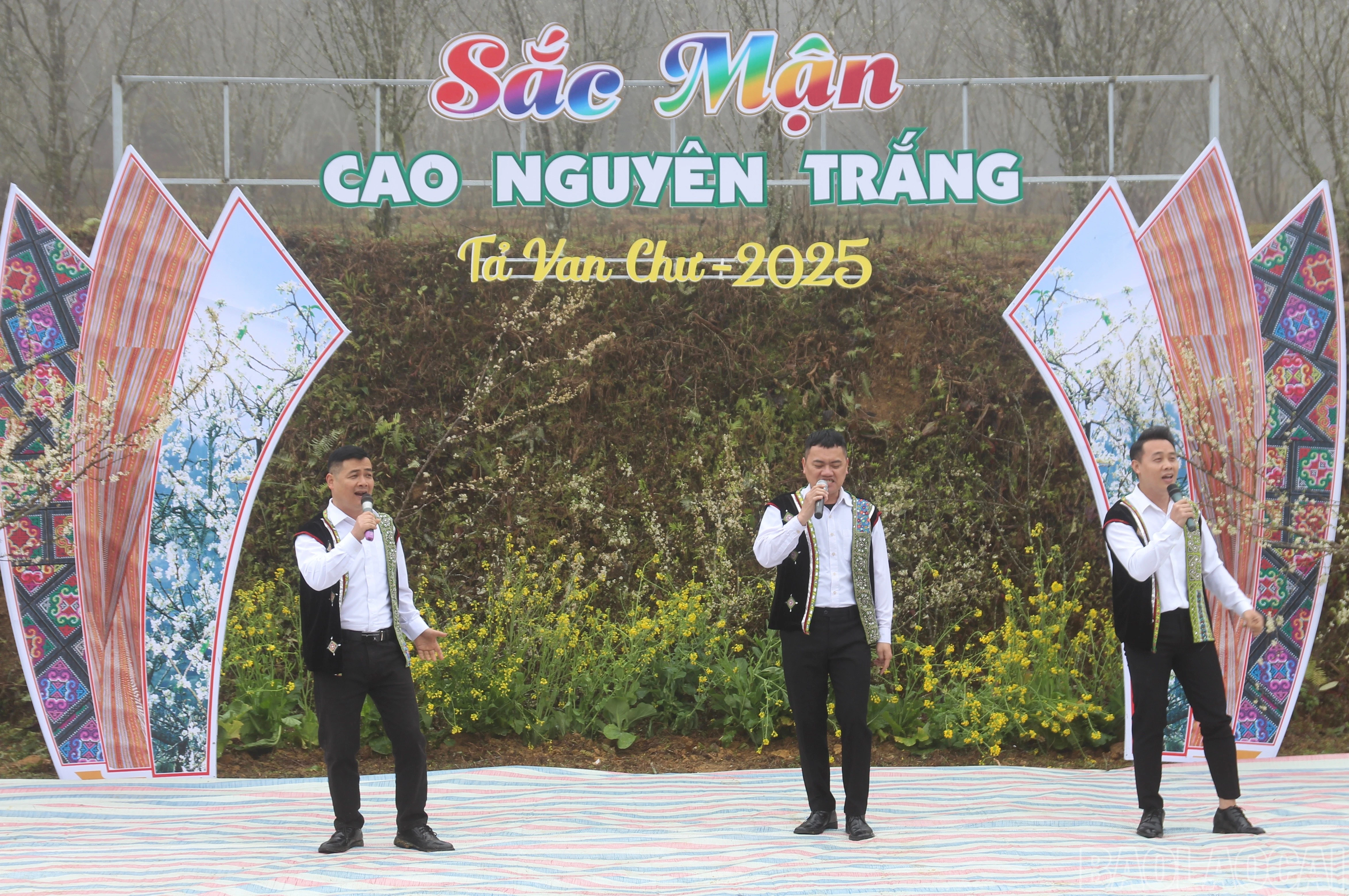 baolaocai-br_img-9546.jpg