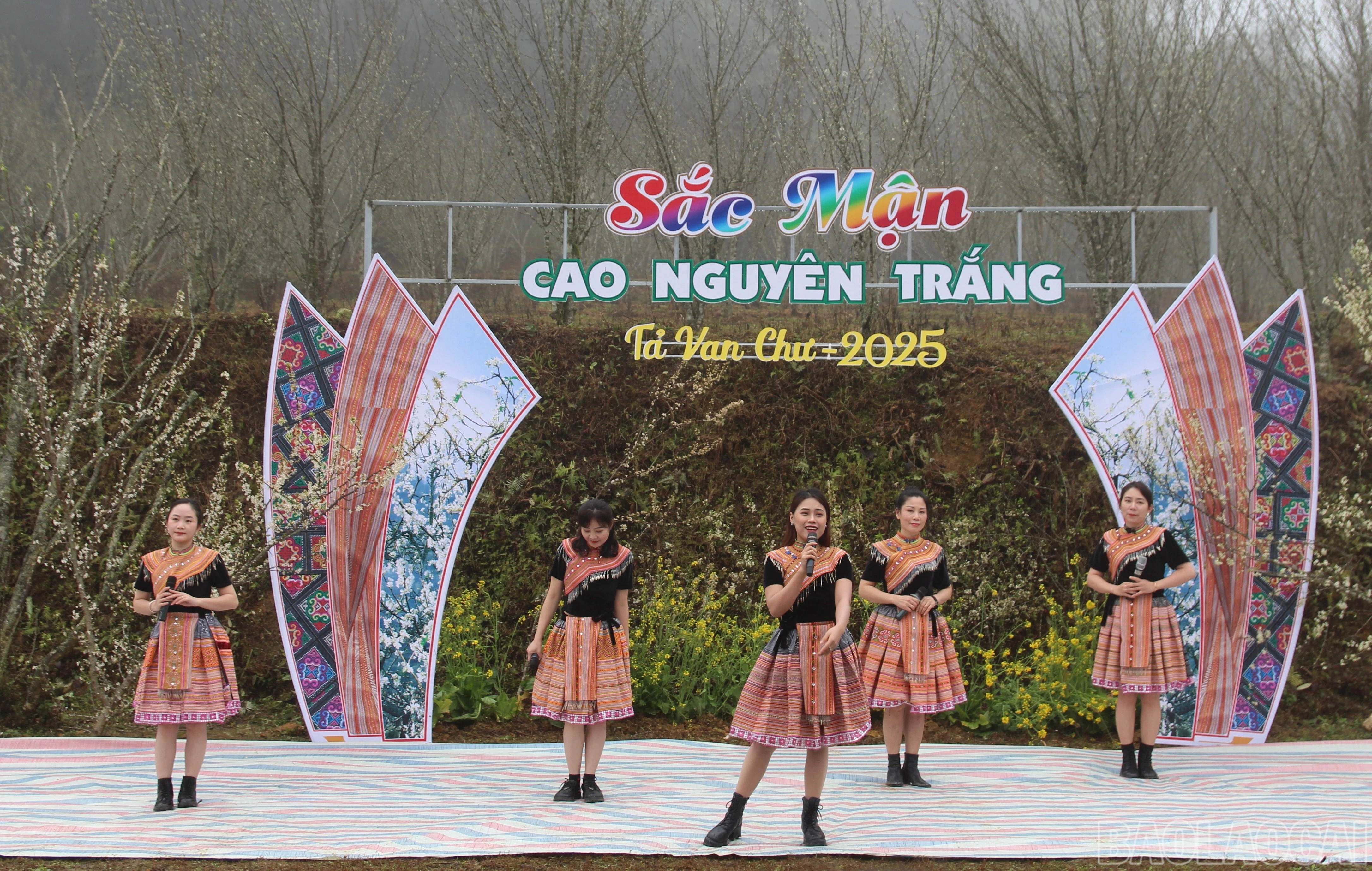 baolaocai-br_img-9535.jpg