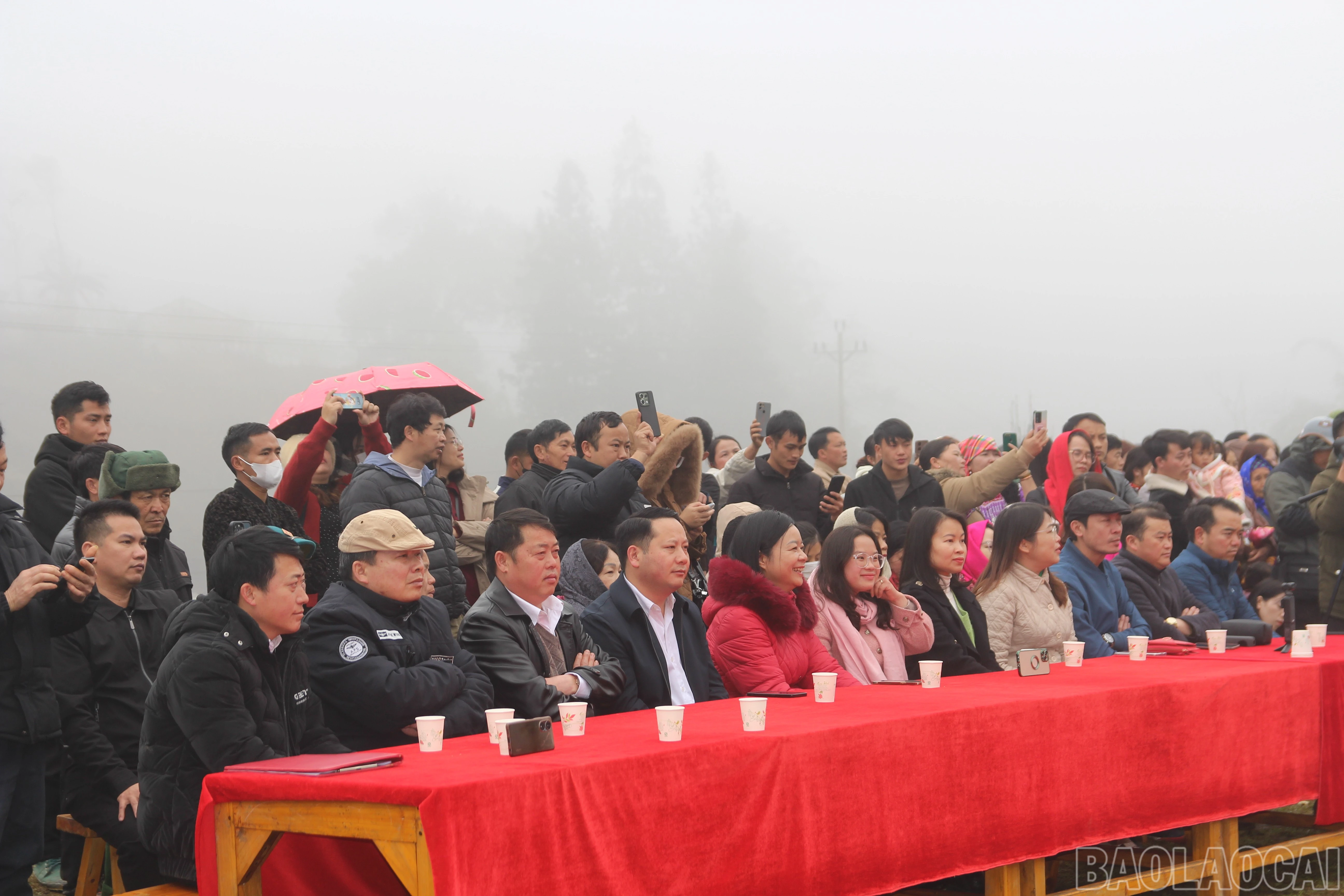 baolaocai-br_img-9554.jpg