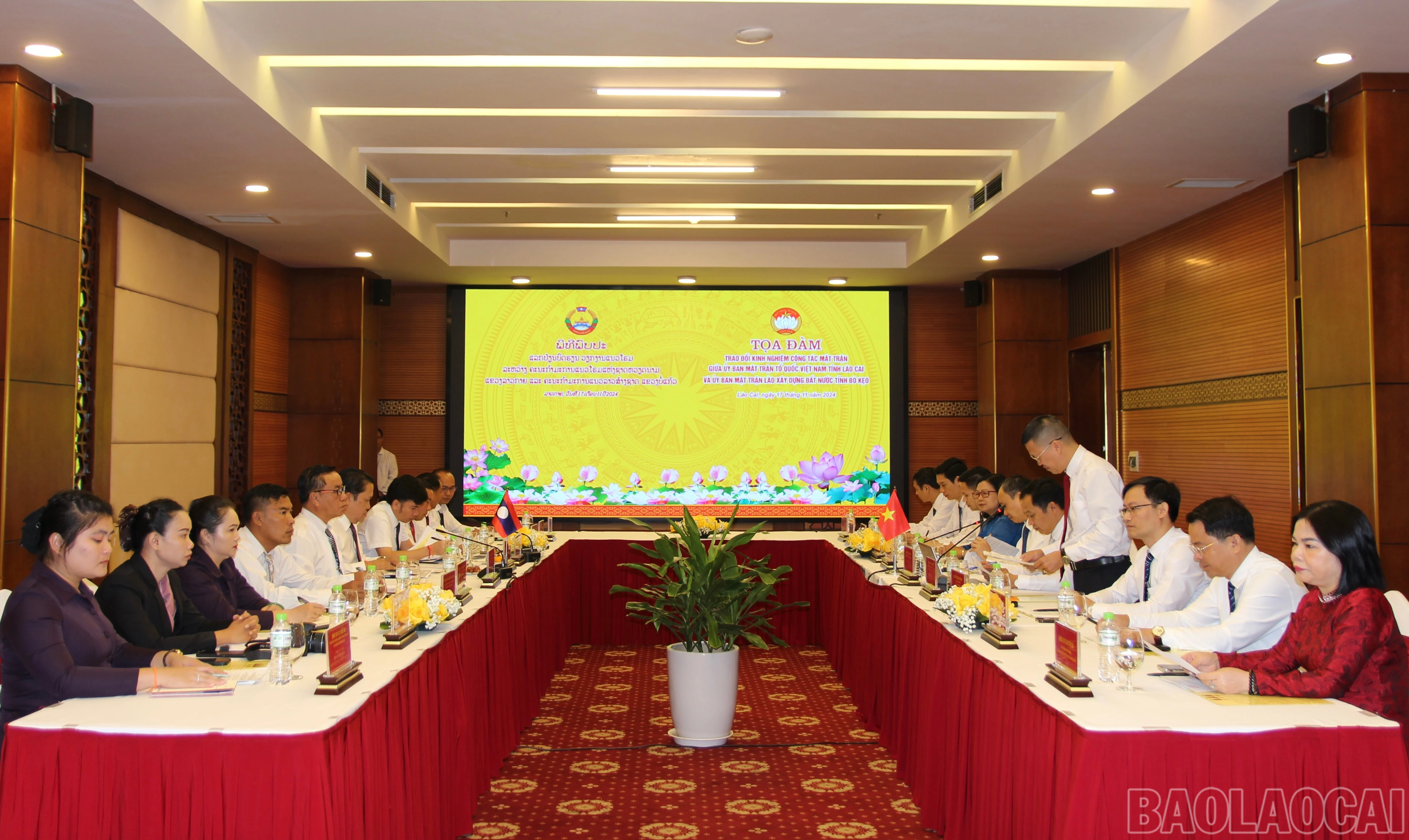 baolaocai-br_img-7681.jpg