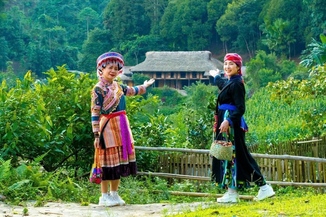 baolaocai-br_img-0587.jpg