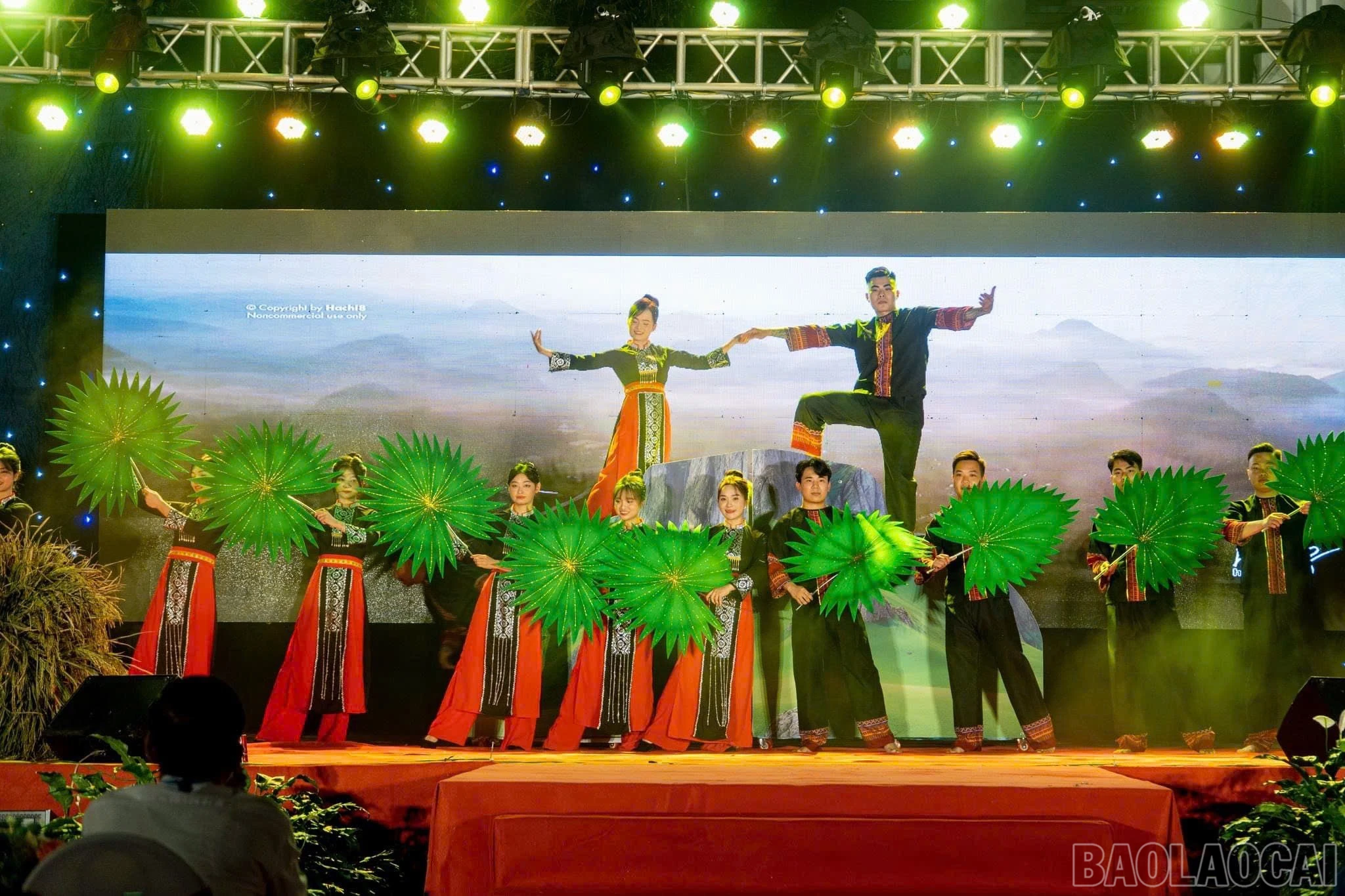 baolaocai-br_img-3506.jpg