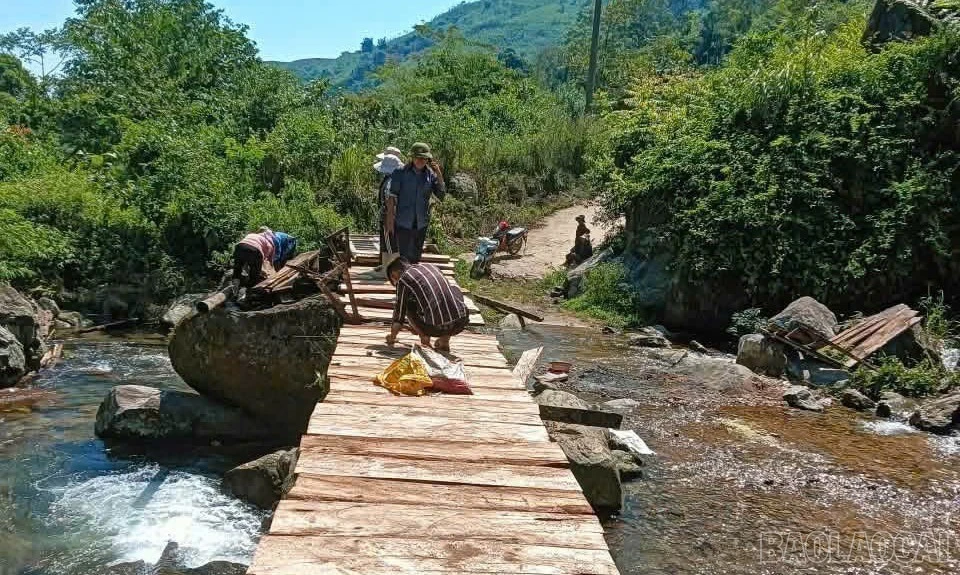 baolaocai-br_3.jpg