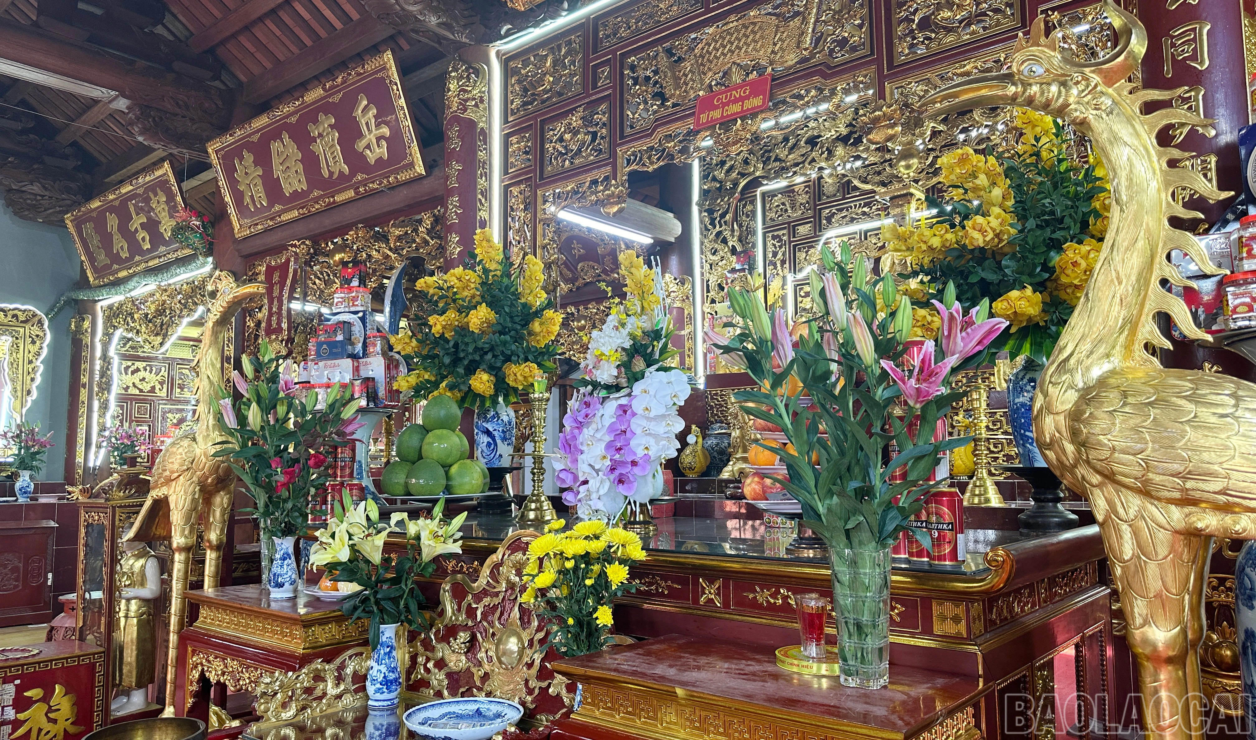 baolaocai-br_10.jpg