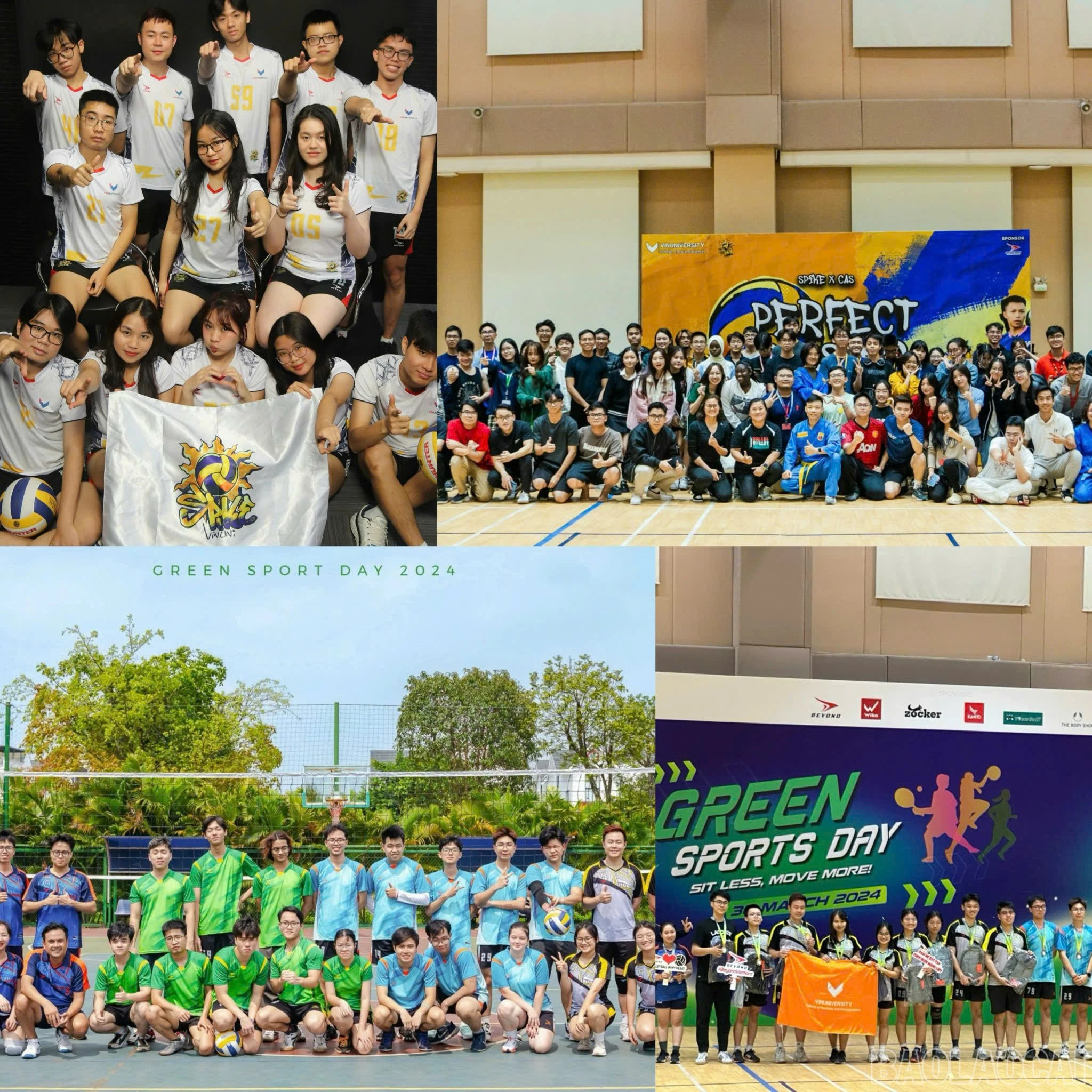baolaocai-br_5ee7656ade055e5b0714.jpg