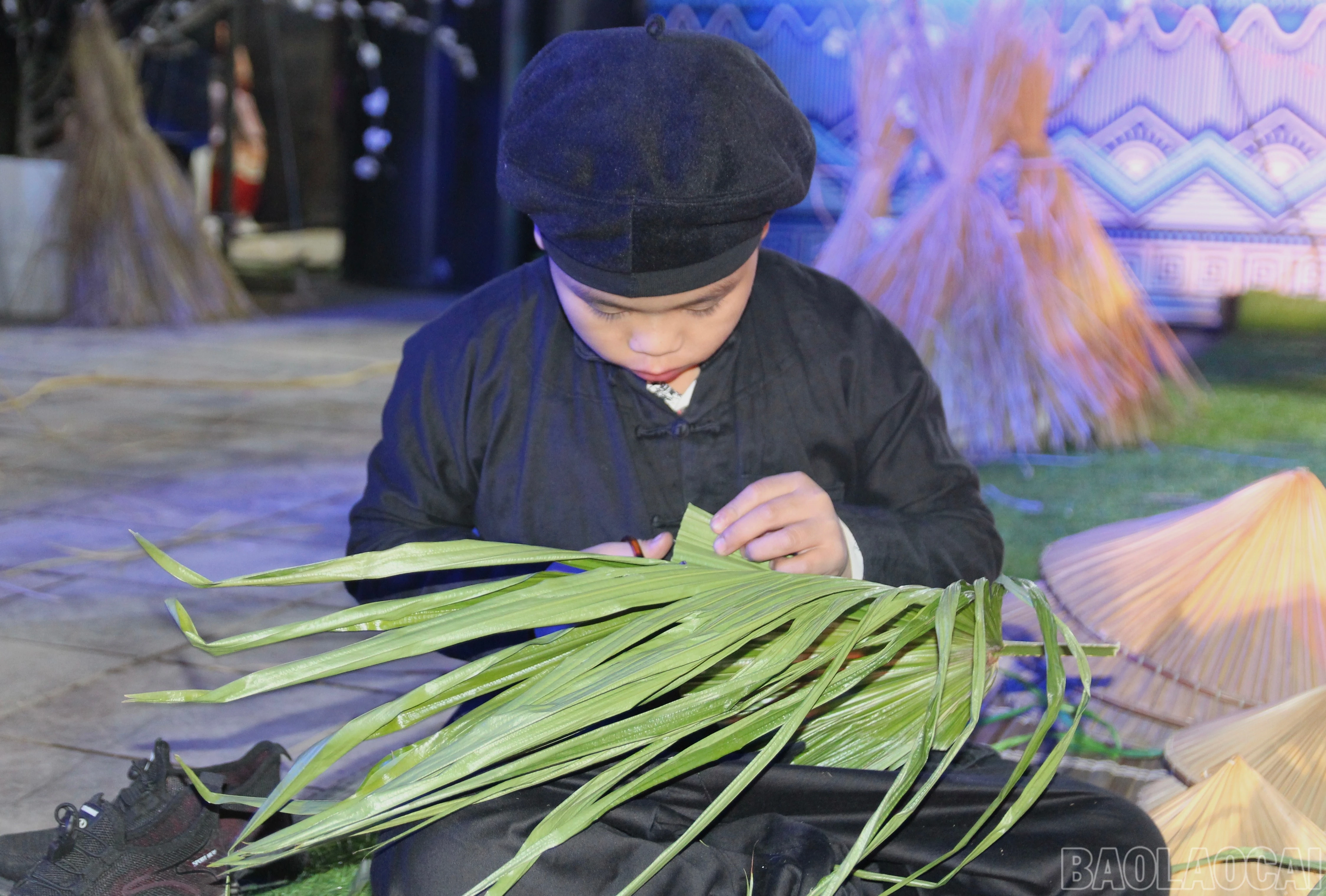 baolaocai-br_img-7978.jpg