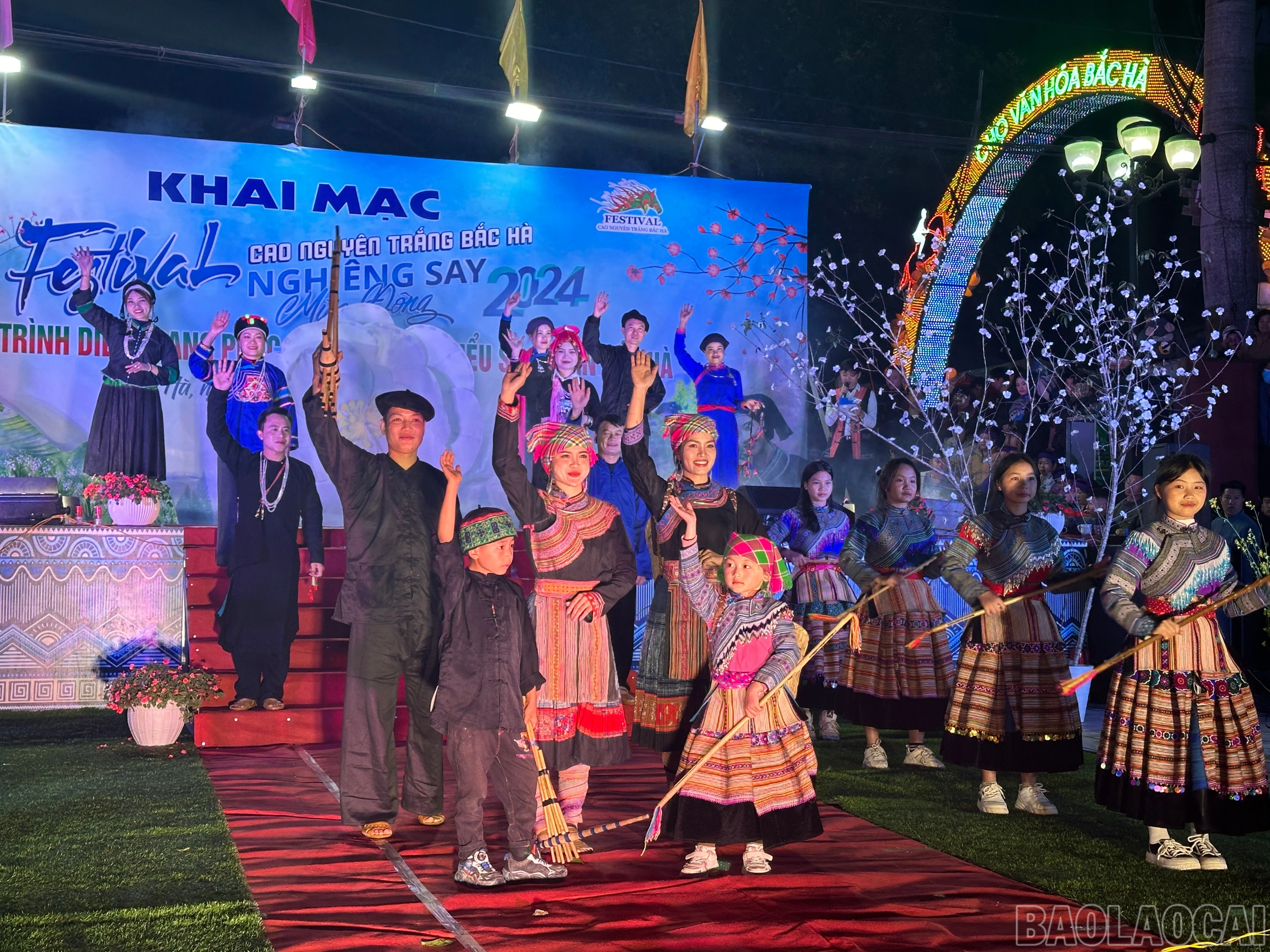 baolaocai-br_img-6841.jpg
