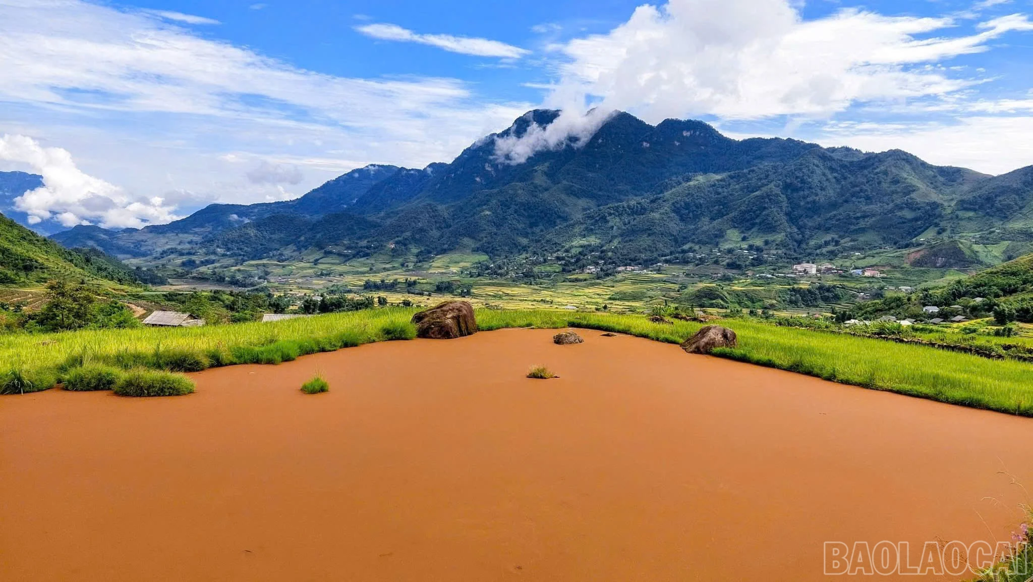 baolaocai-br_a12.jpg