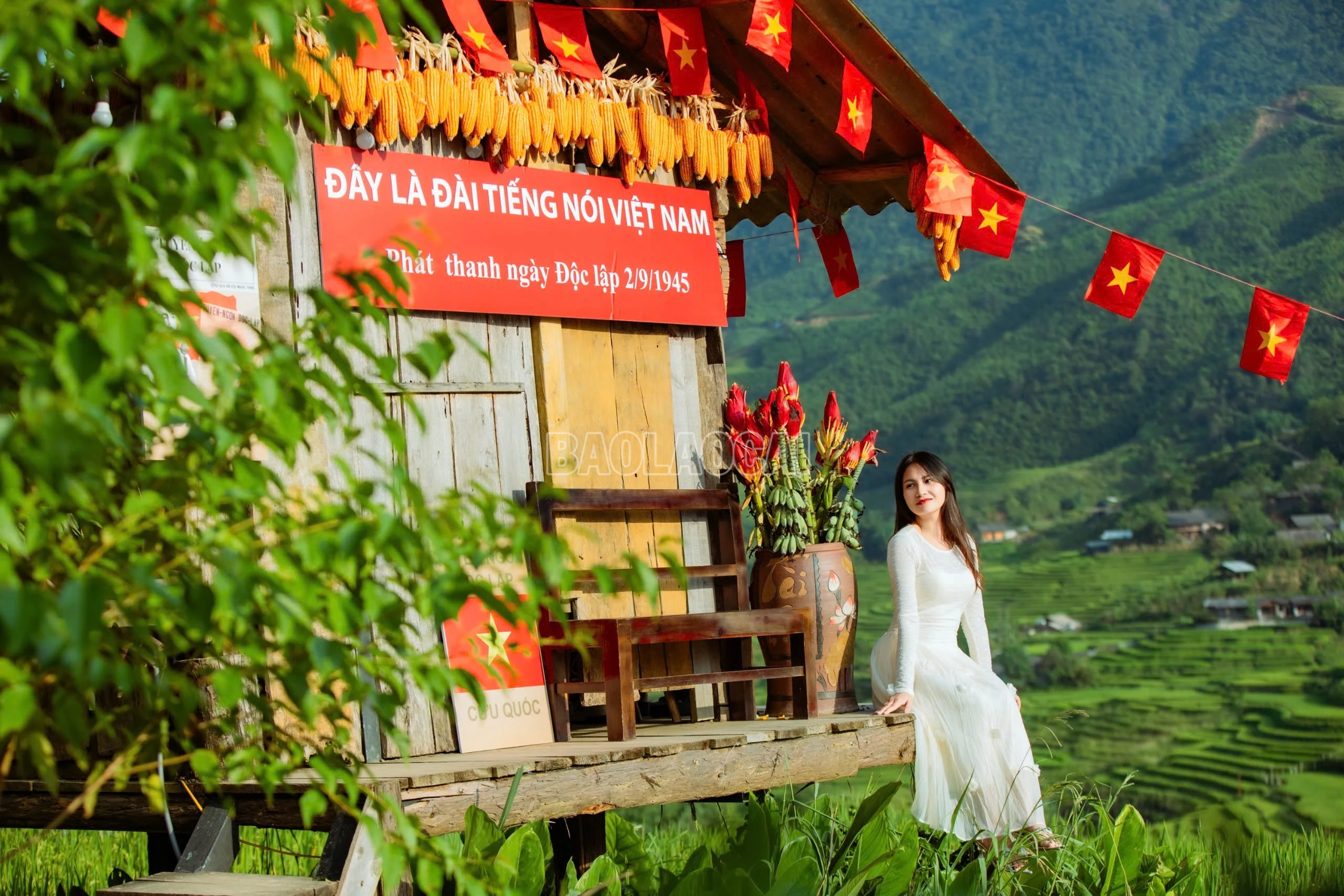 baolaocai-c_z6917869635624-770b1952ac8d886145c58238af2aead6.jpg