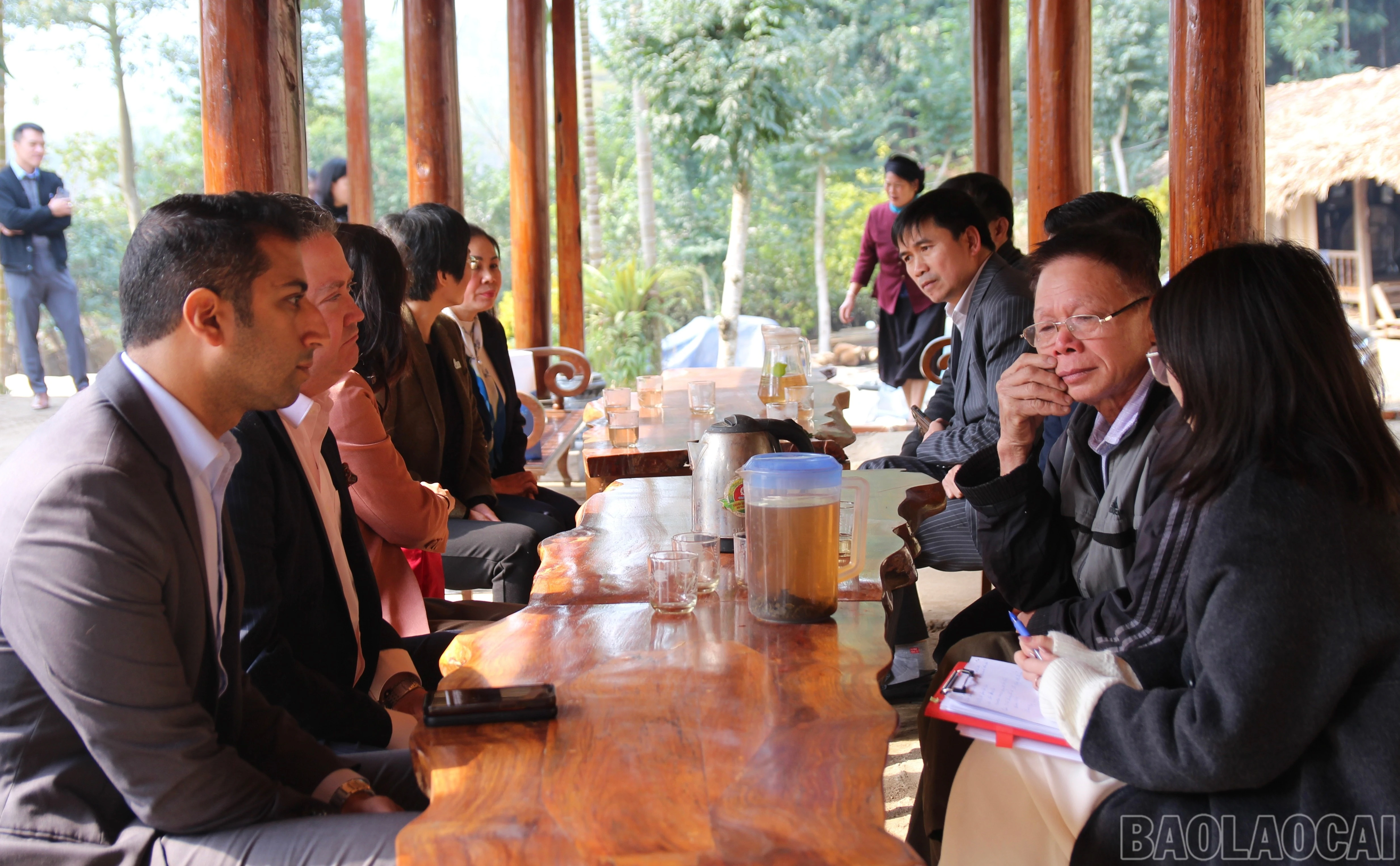 baolaocai-br_img-7745.jpg