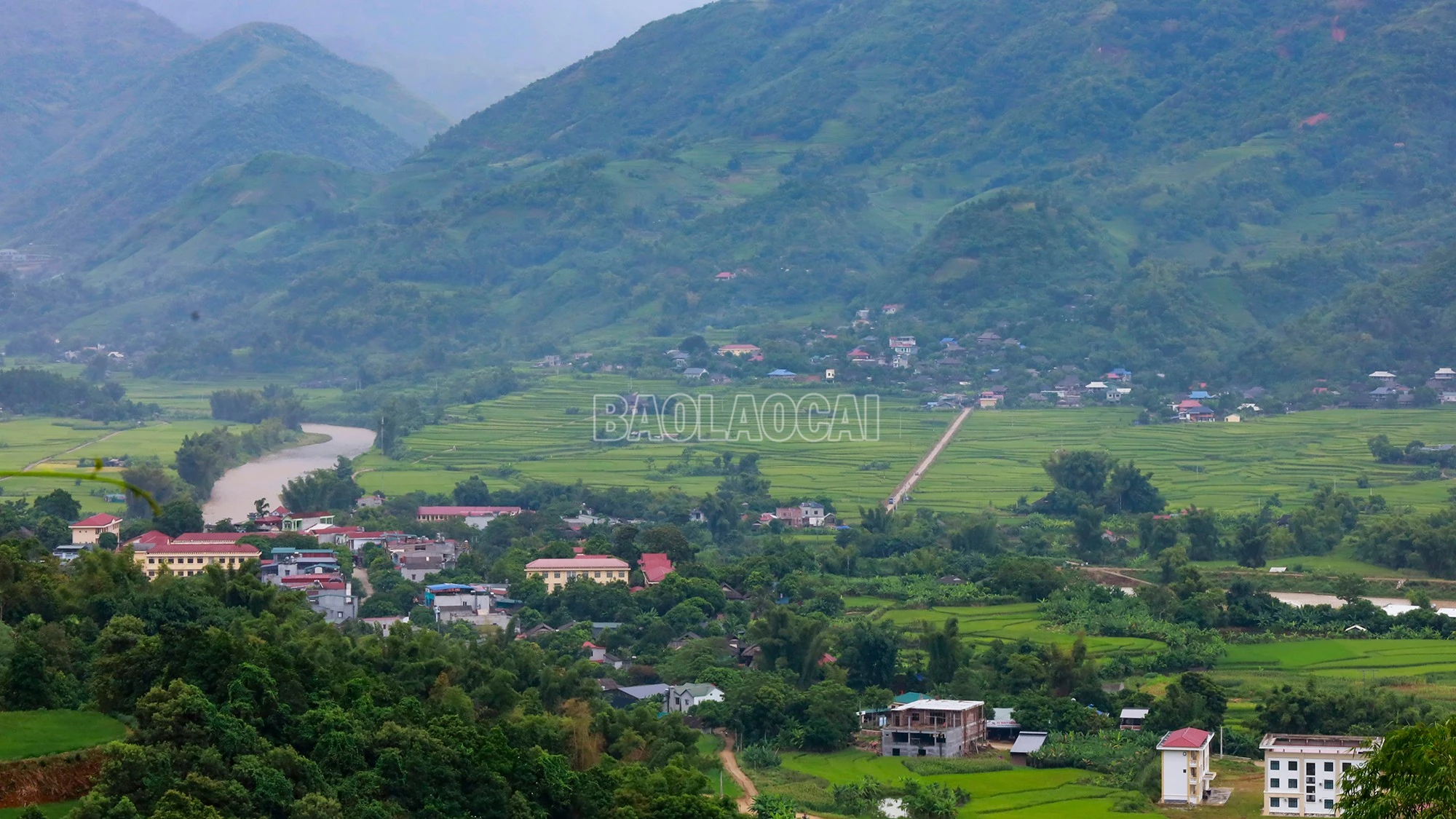baolaocai-c_nhieu-vung-nong-thon-tren-dia-ban-tinh-doi-thay-nho-cay-que-1.jpg