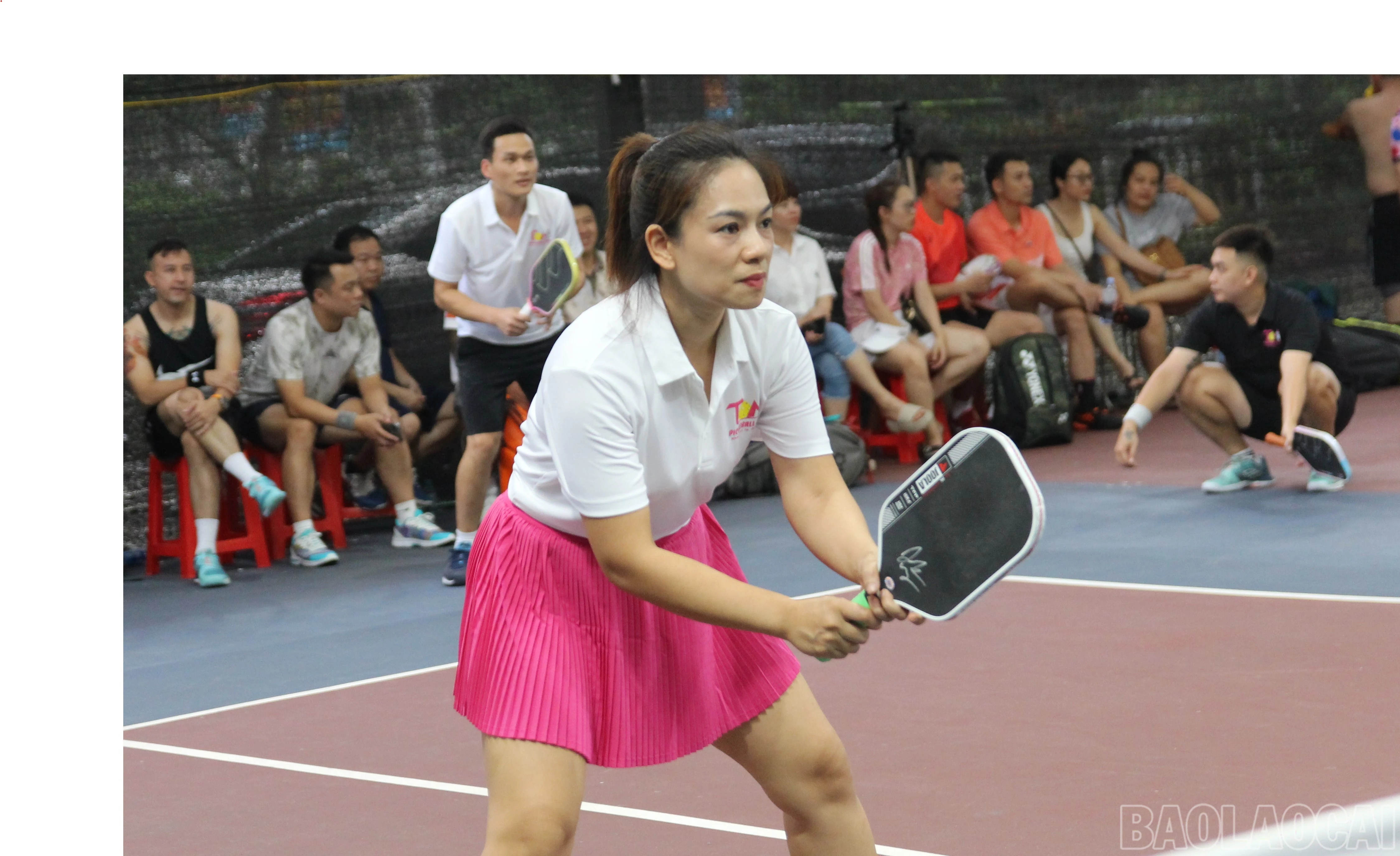 baolaocai-br_7-4399.jpg