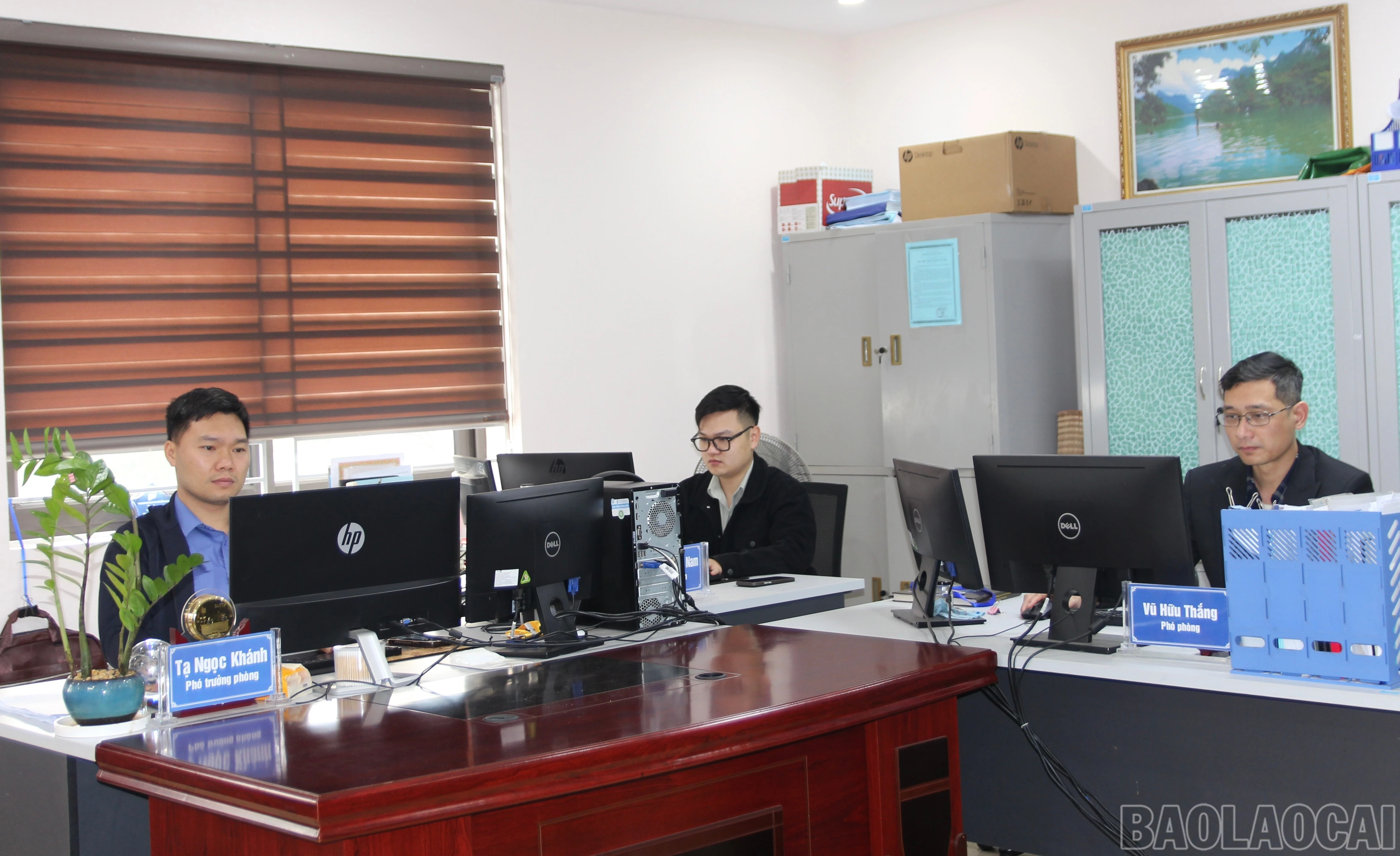 baolaocai-br_img-9814.jpg