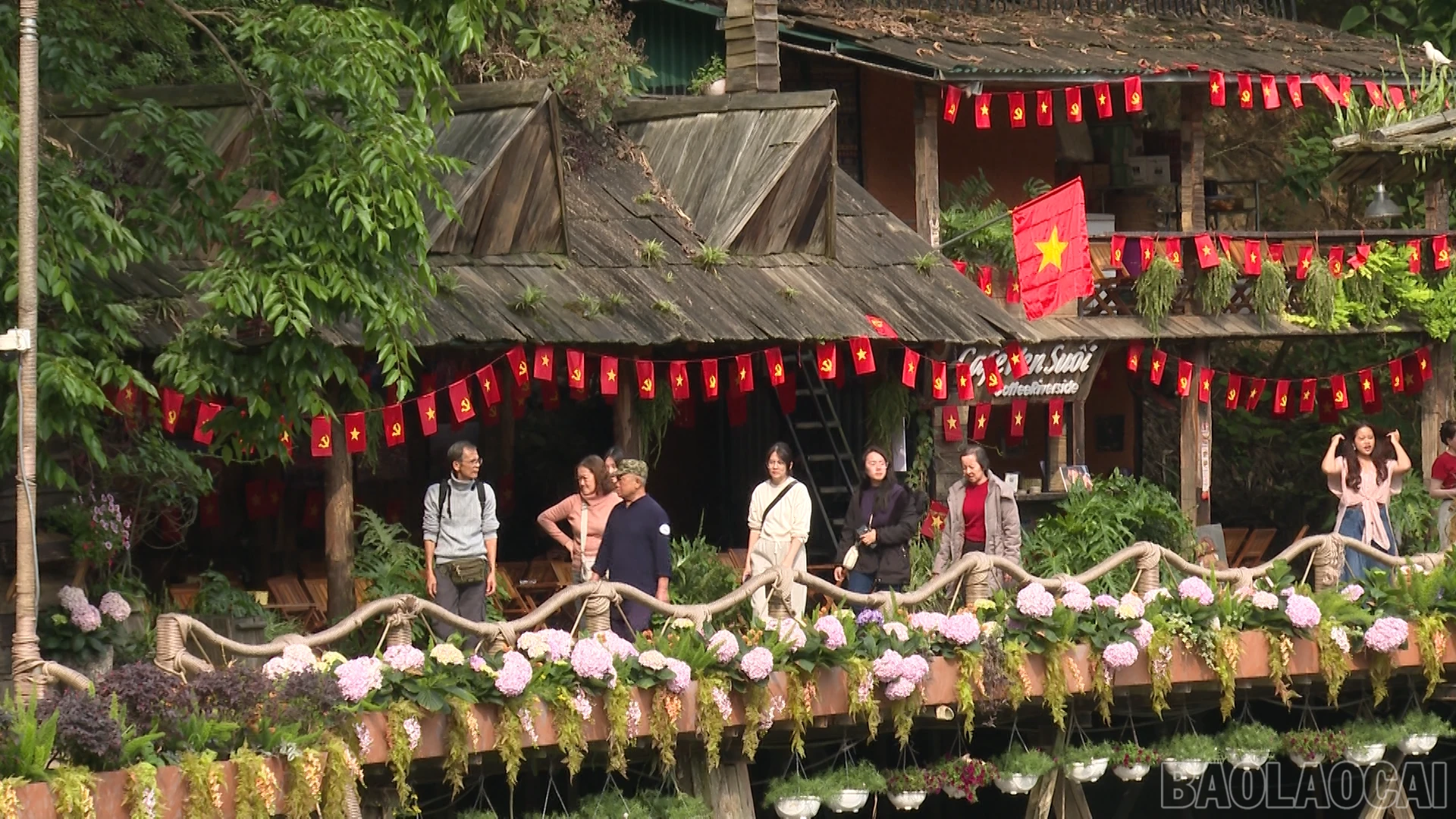 baolaocai-br_1.png